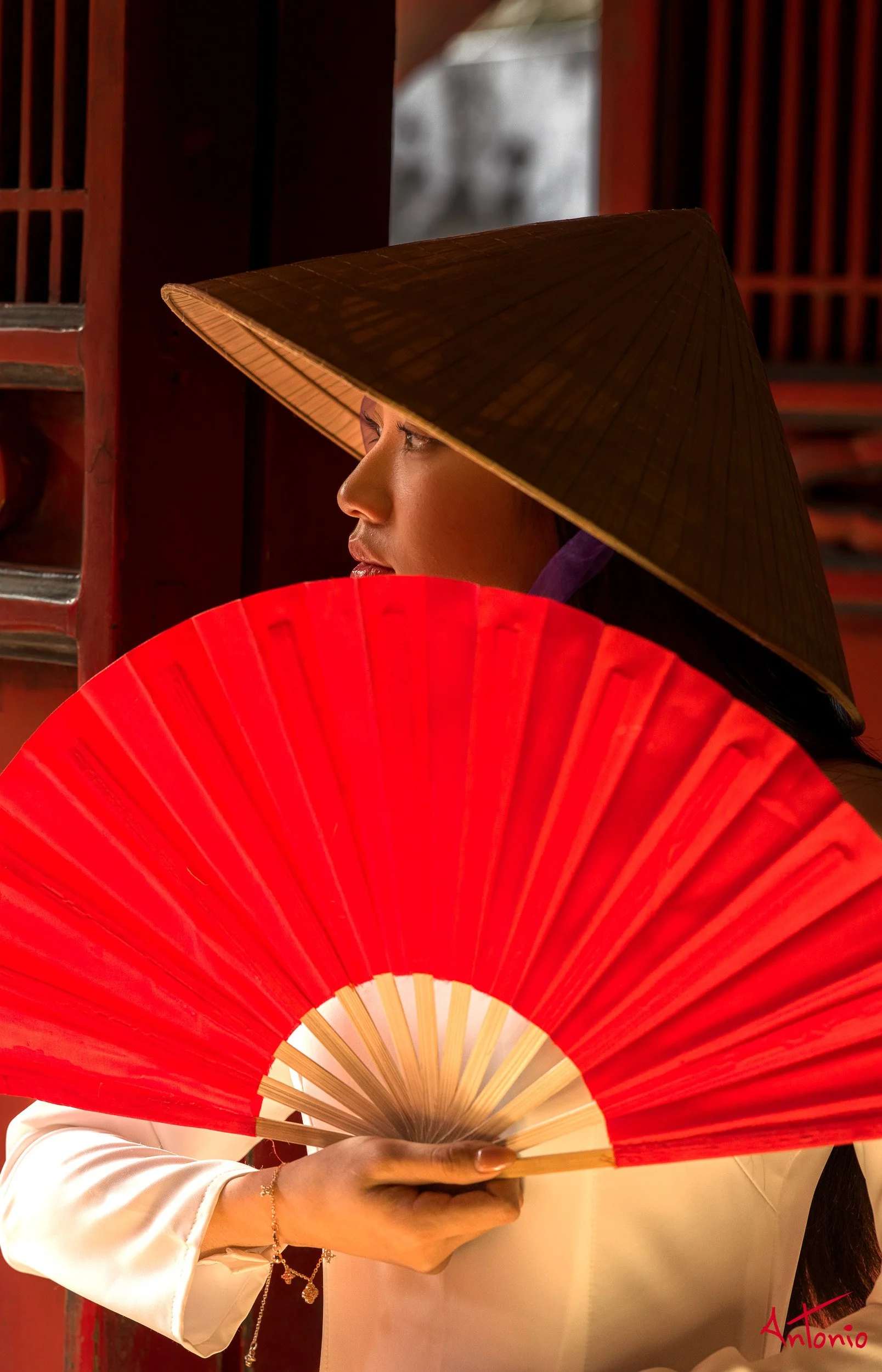 20260201_140621 B0012516 Hanoi, Vietnam.jpg