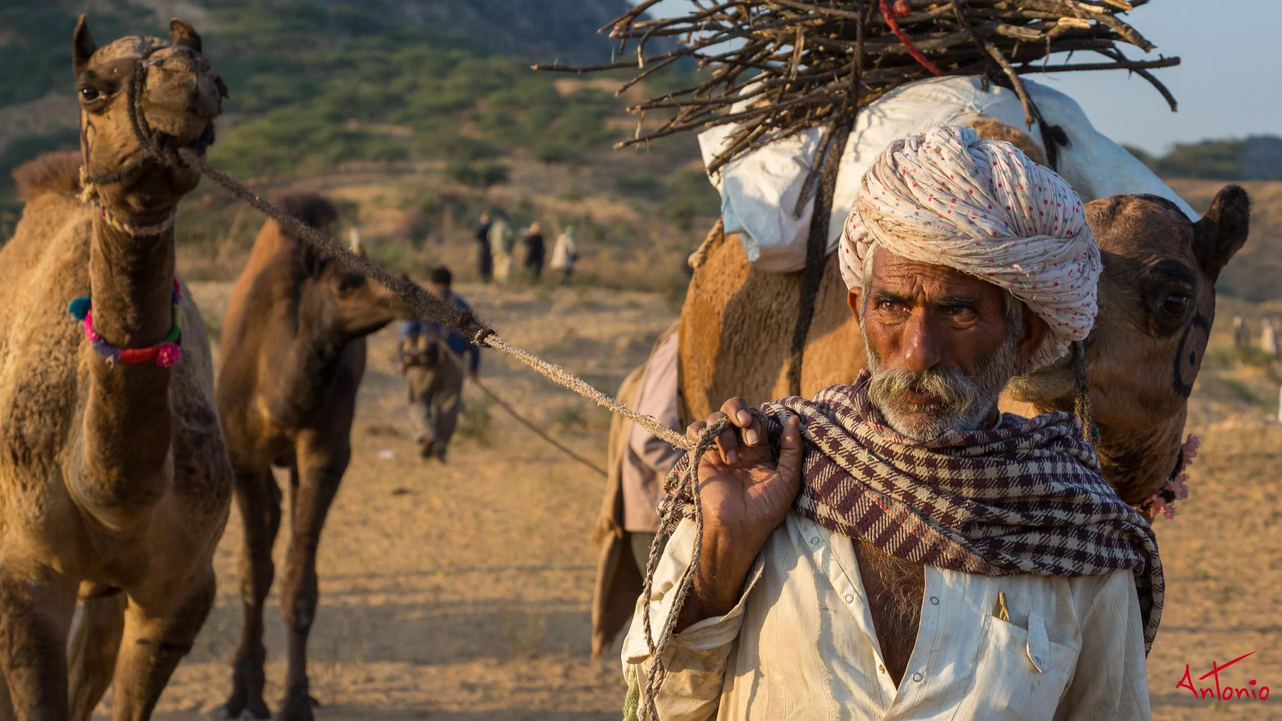 20121124_075526 Pushkar.jpg