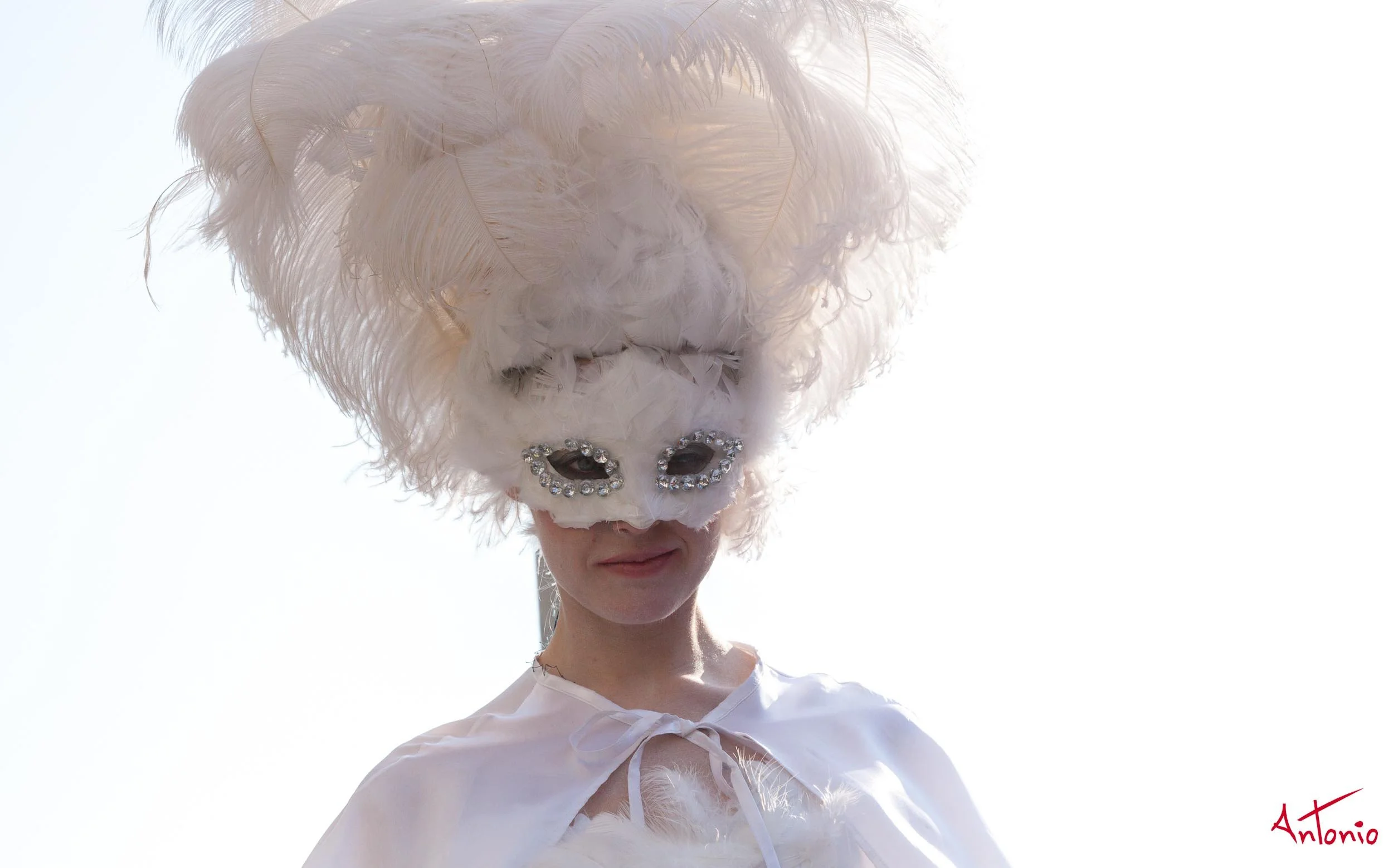 20120218_135503 Carnaval de venecia.jpg