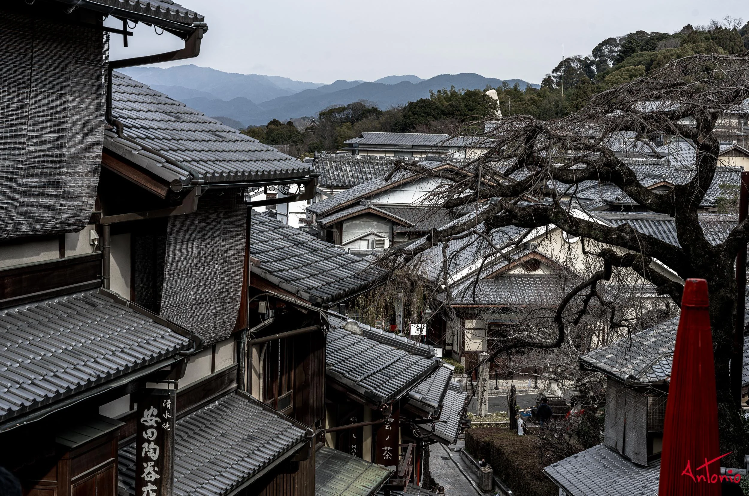 20240103_111549 B0001537 Kyoto.jpg