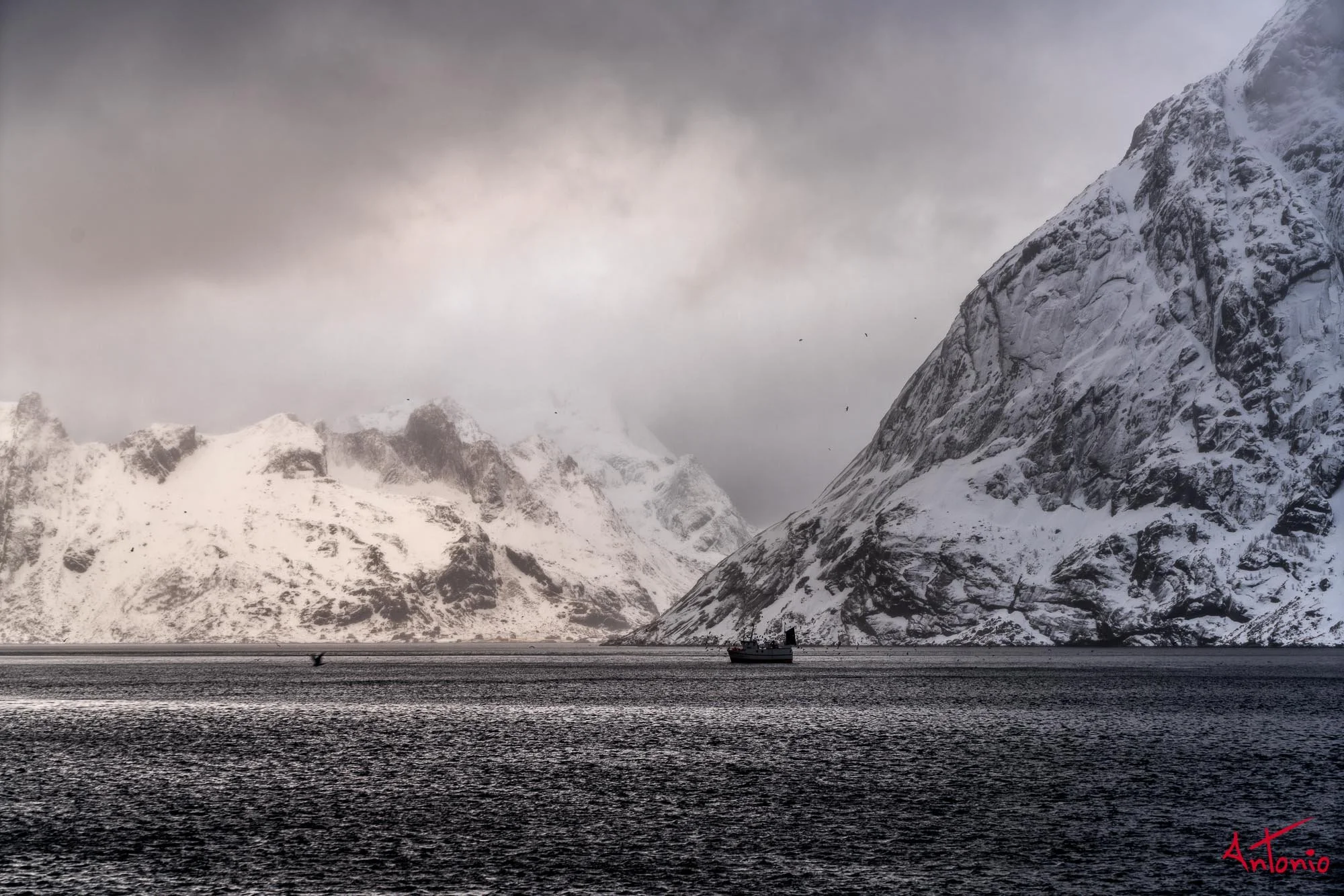 20160219_123222 Lofoten.jpg