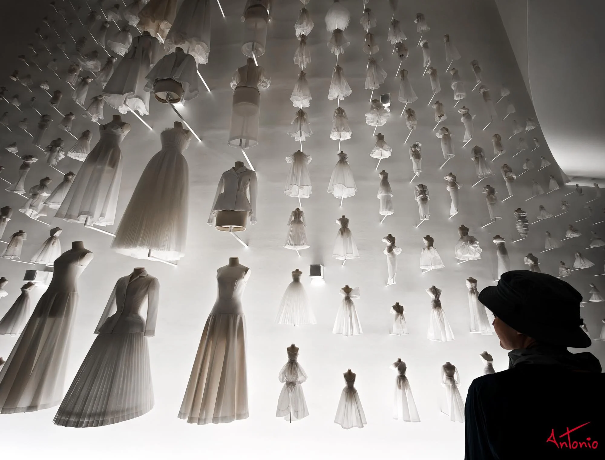 20250726_142325 Osaka, Japan - Expo 2025.jpg