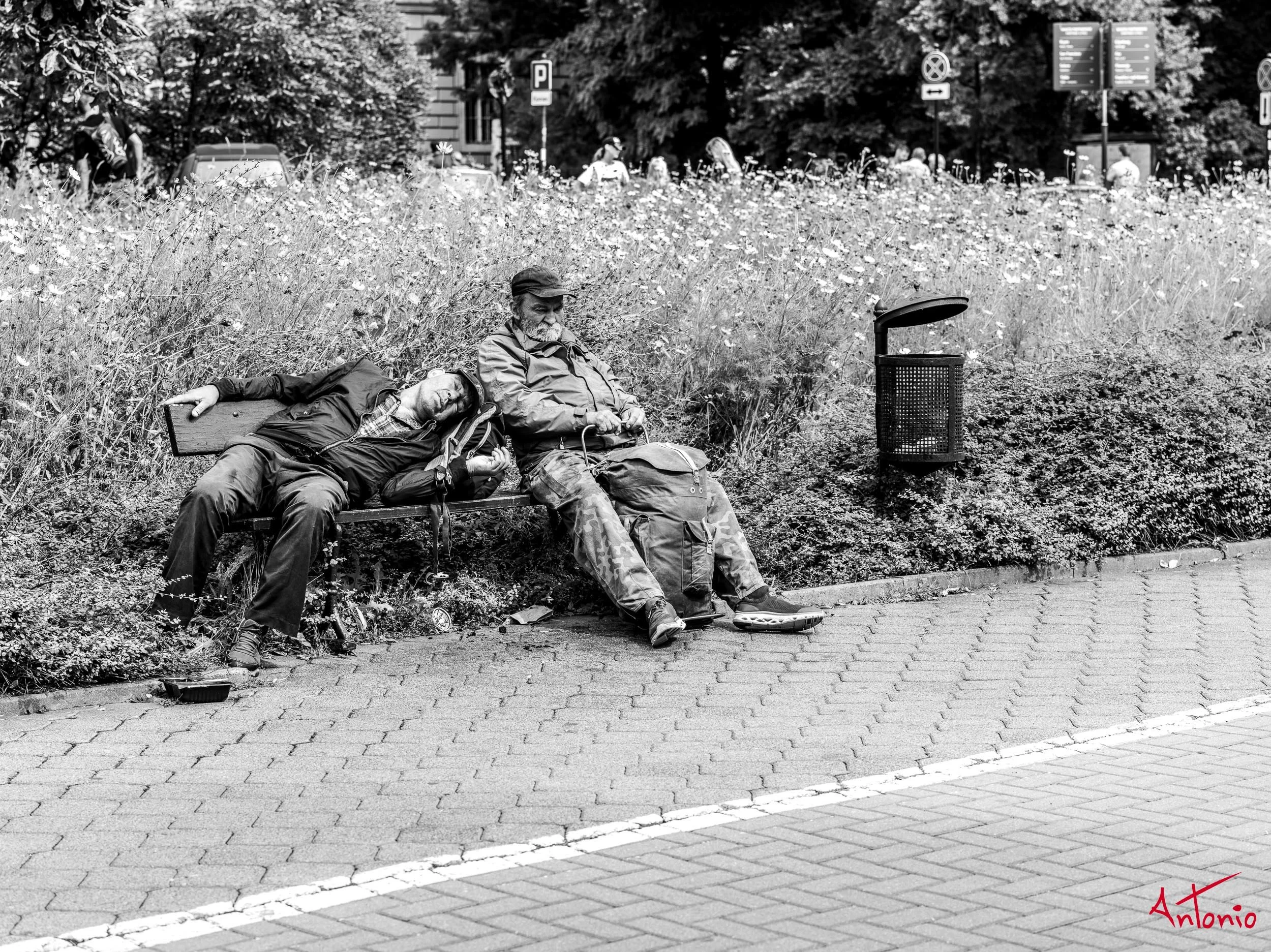 20240822_111734 B0006503 Cracovia, Polonia.jpg