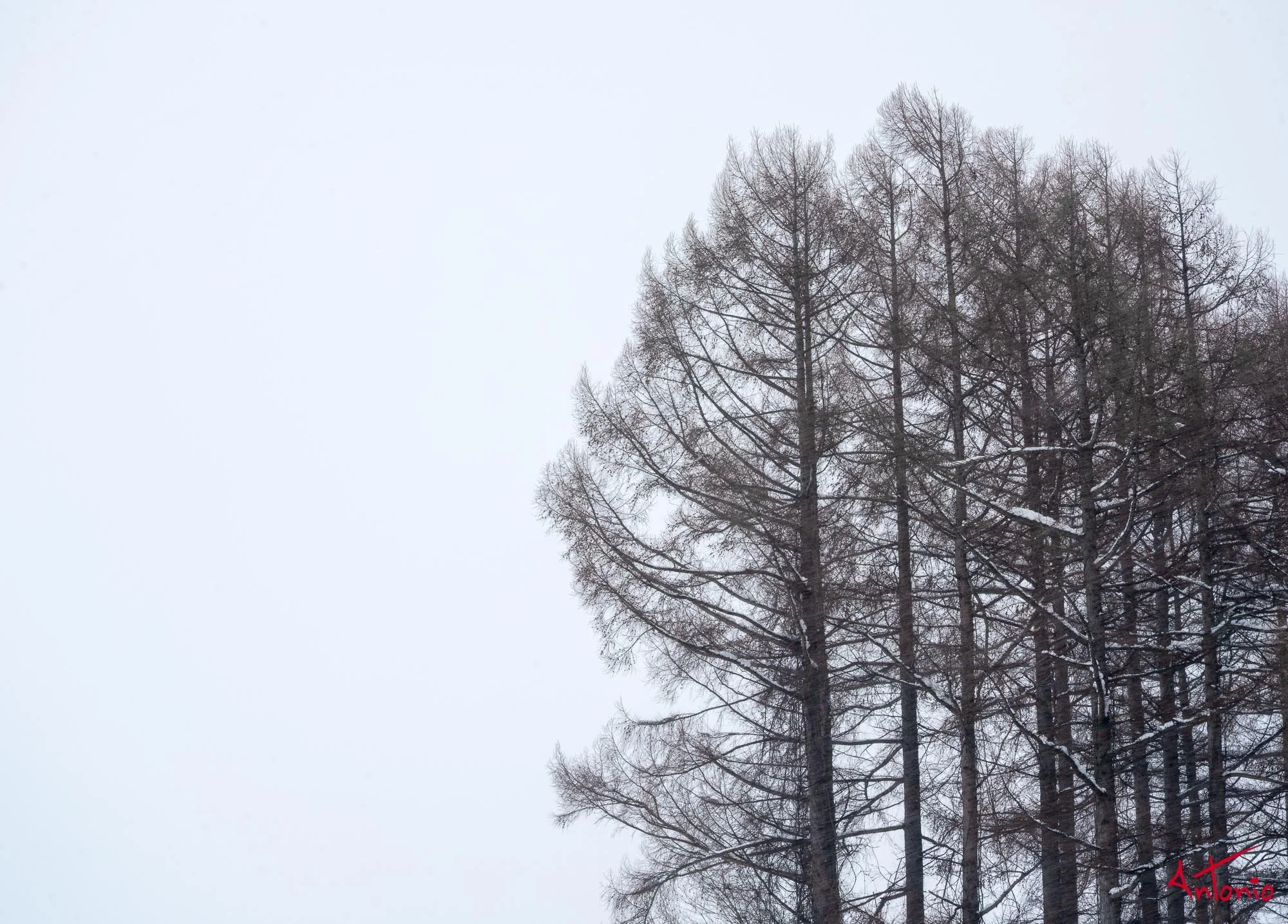 20240109_135830 B0003184 Hokaido.jpg