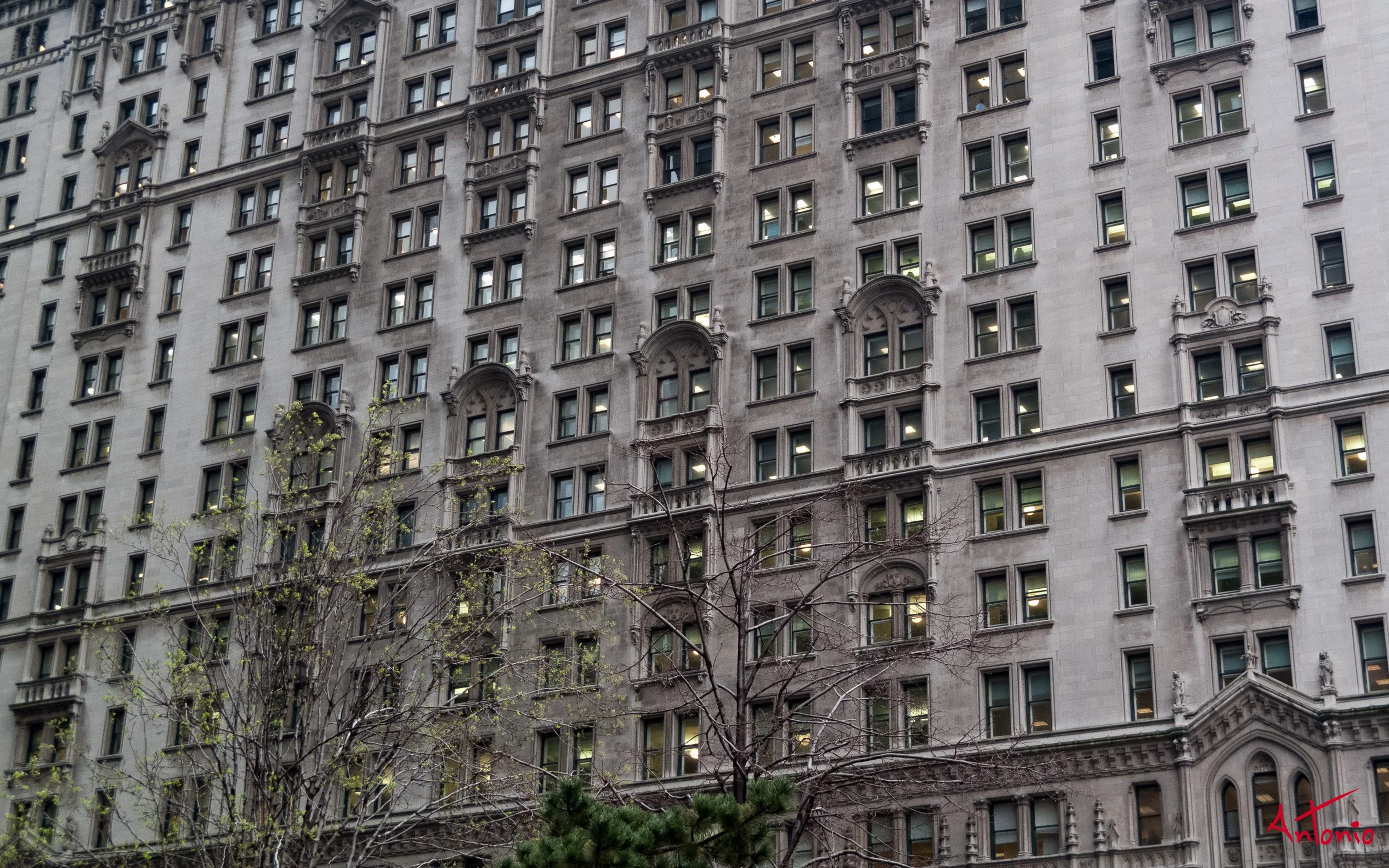 20080406_150444 New York.jpg