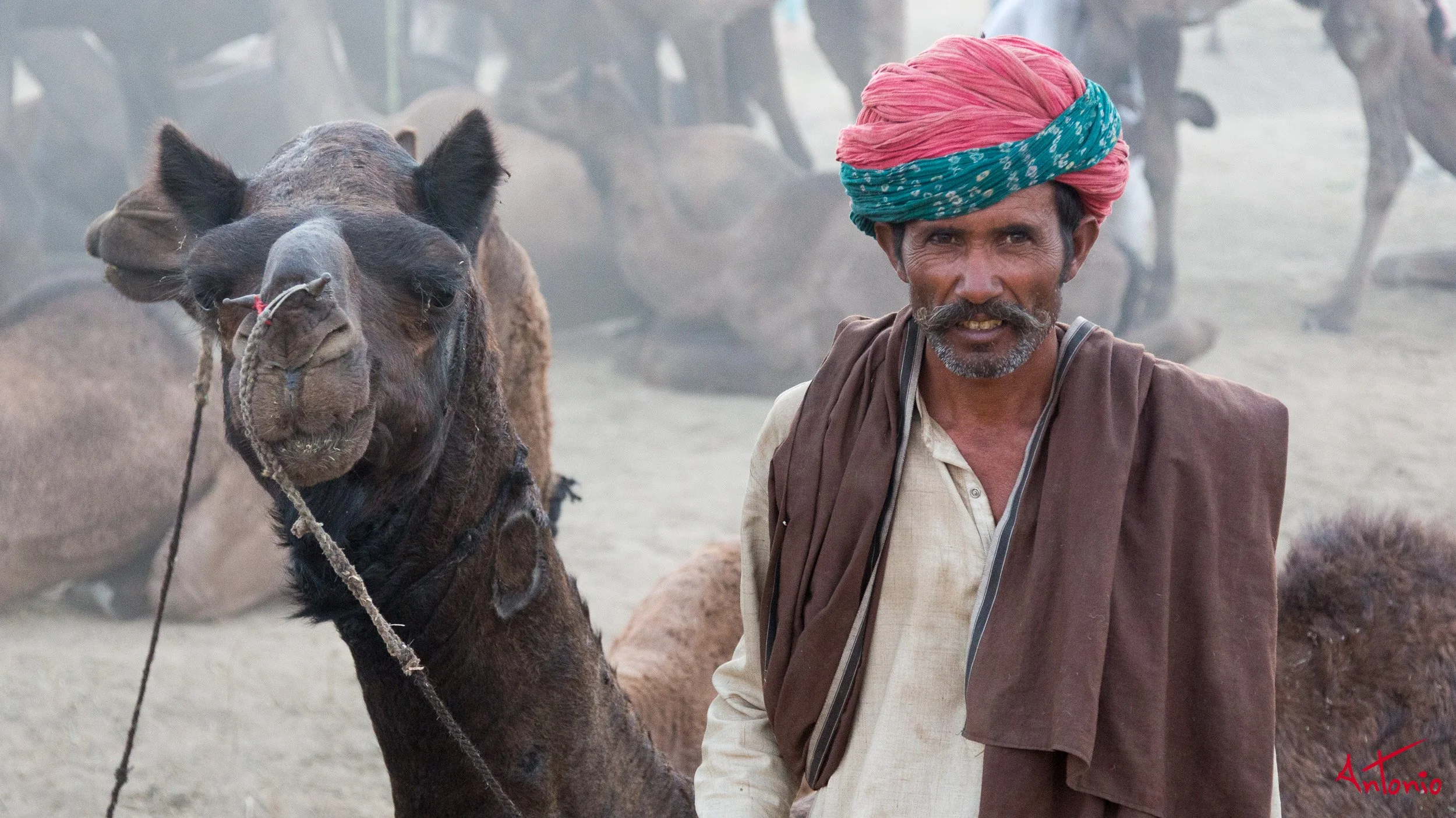 20121123_173821 Pushkar.jpg