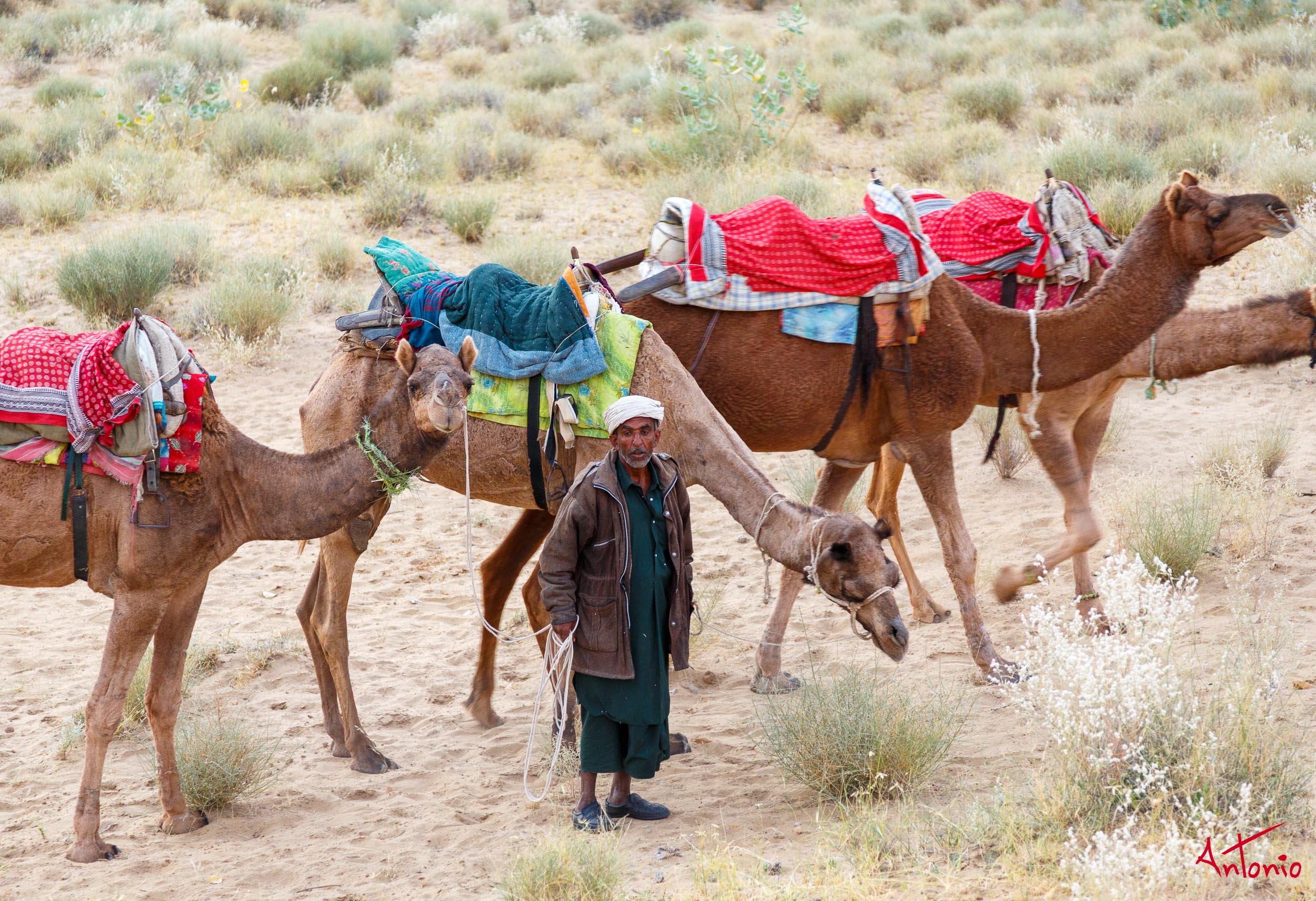20121121_174822 India_Delhi_Jodhpur_Jamba.jpg