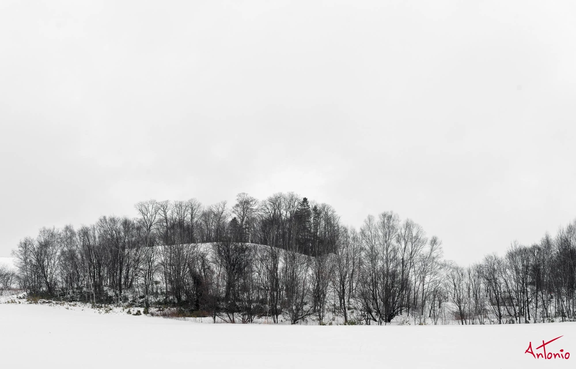 20240118_143759 B0004895 Hokaido-Edit.jpg