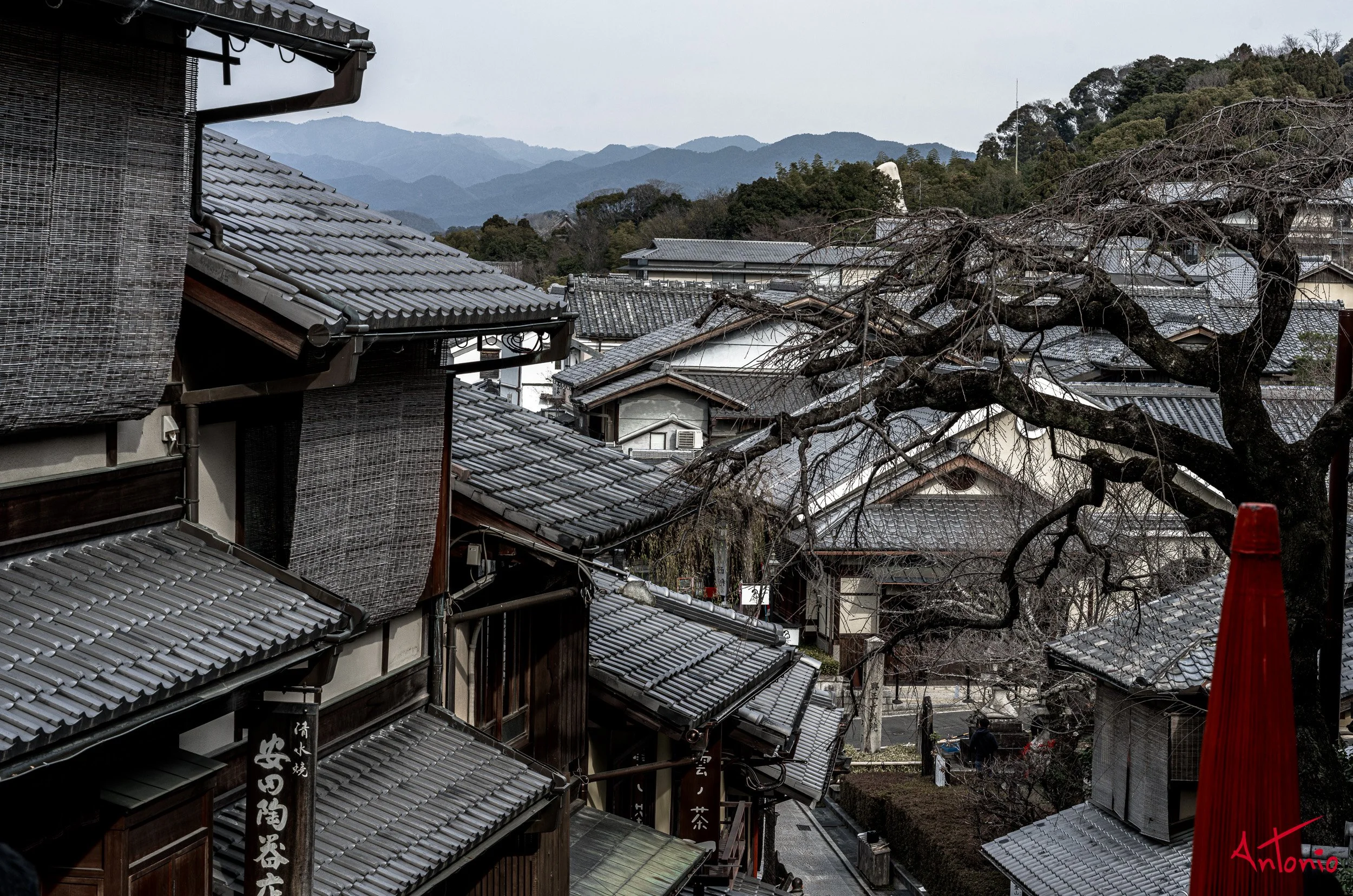 20240103_111550 B0001537 Kyoto, Japan.jpg