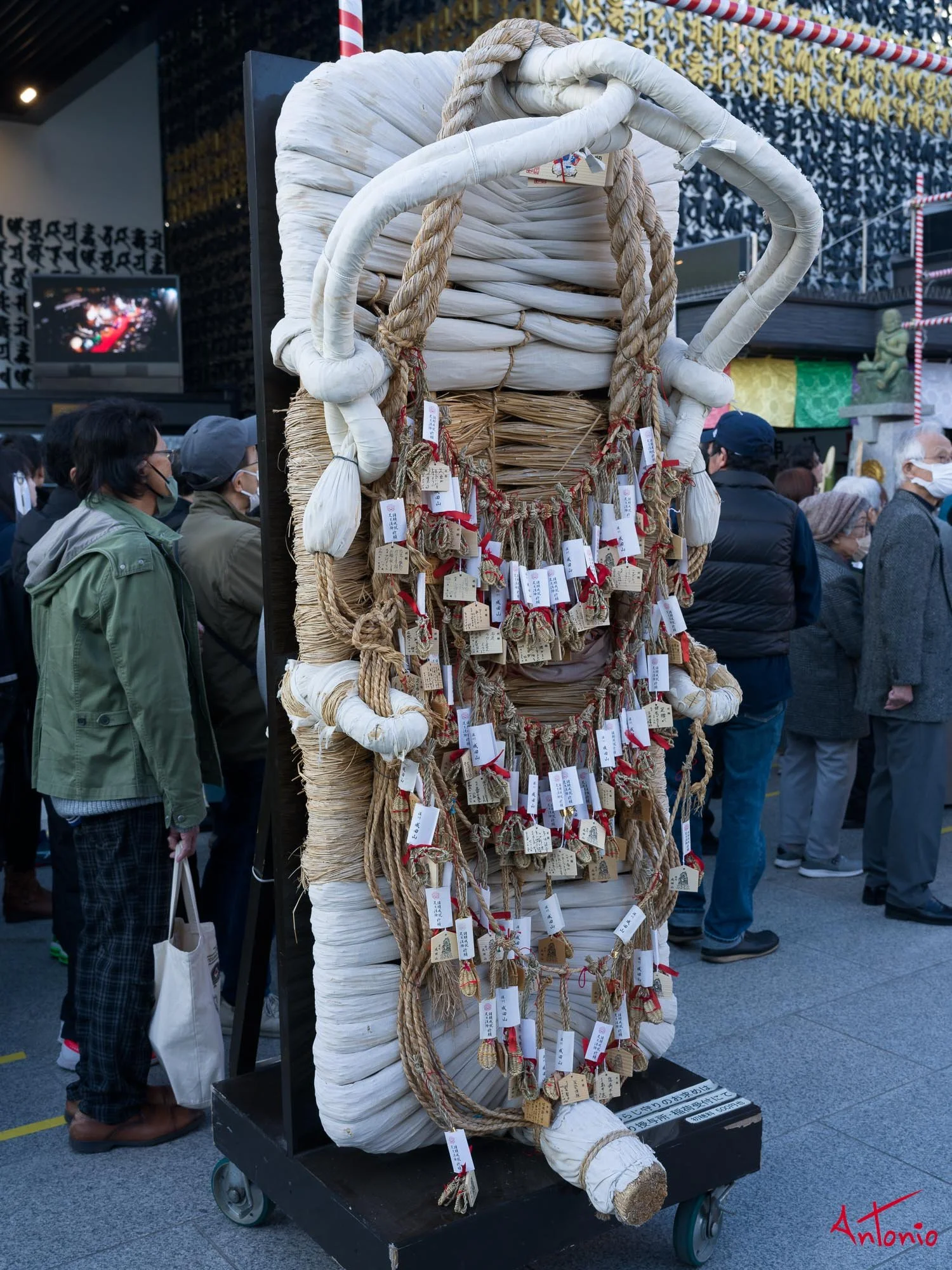 20240123_165039 B0002676 Tokyo.jpg