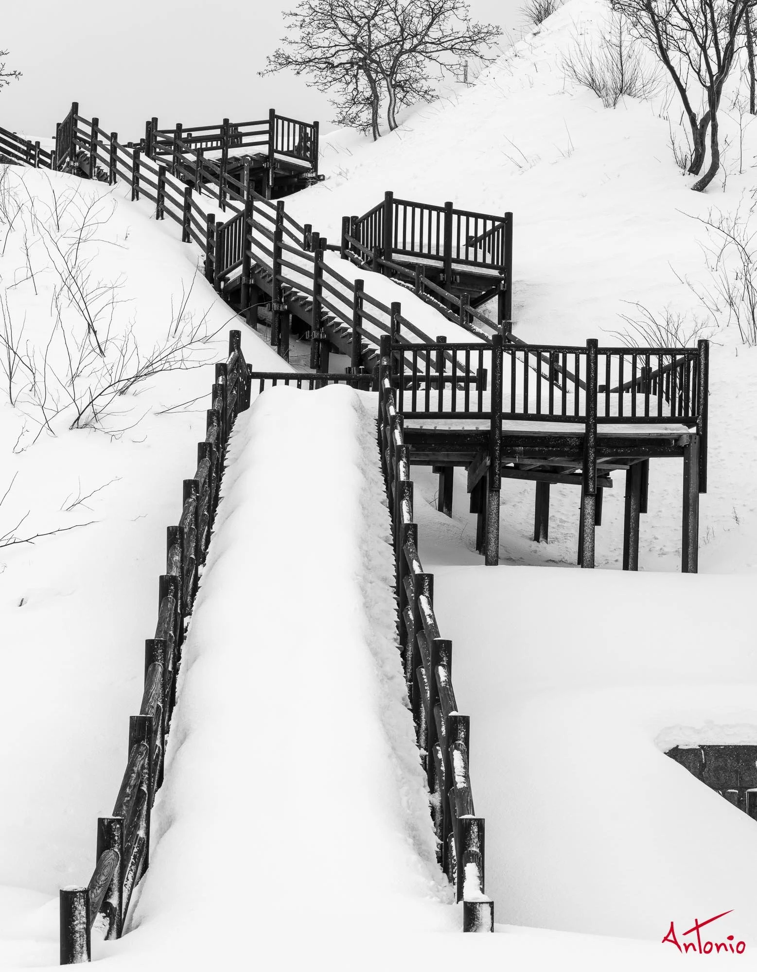 20240112_154339 B0003756 Hokaido.jpg