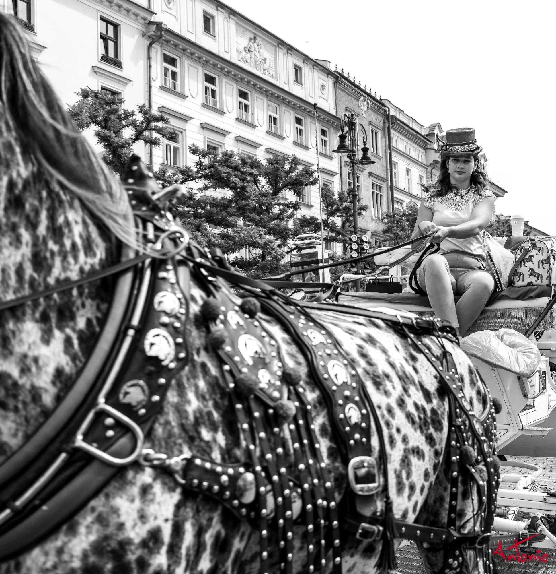 20240822_120252 B0006562 Cracovia, Polonia.jpg