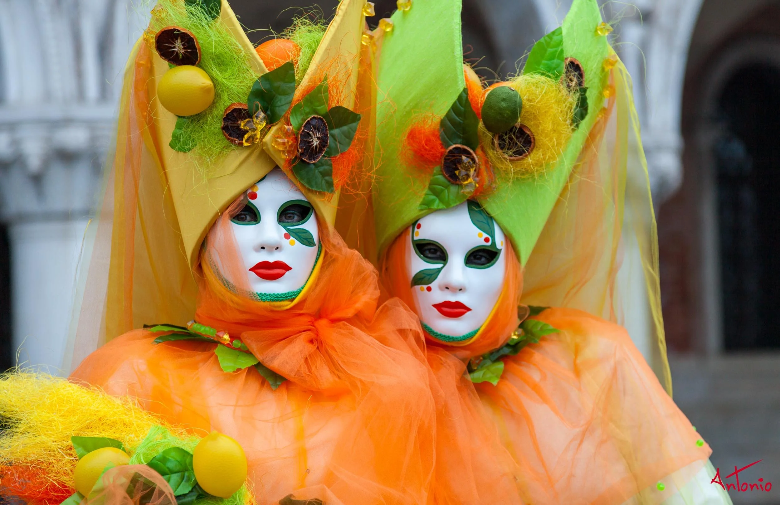 20120219_072244 Carnaval de venecia.jpg