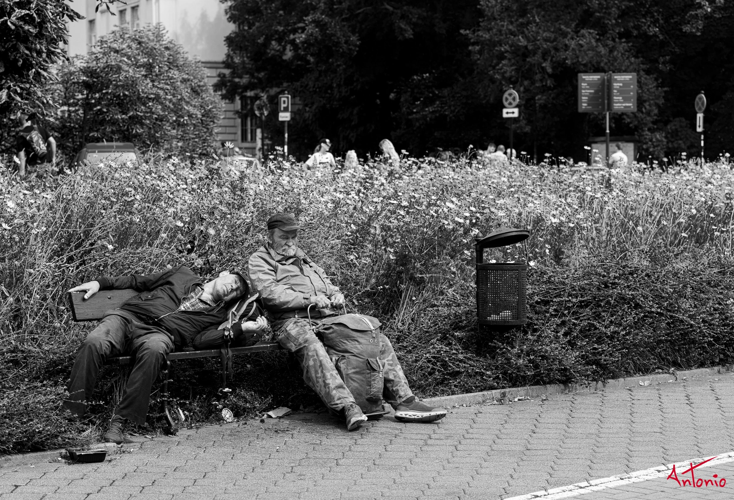 20240822_111734 B0006503 Cracovia, polonia.jpg