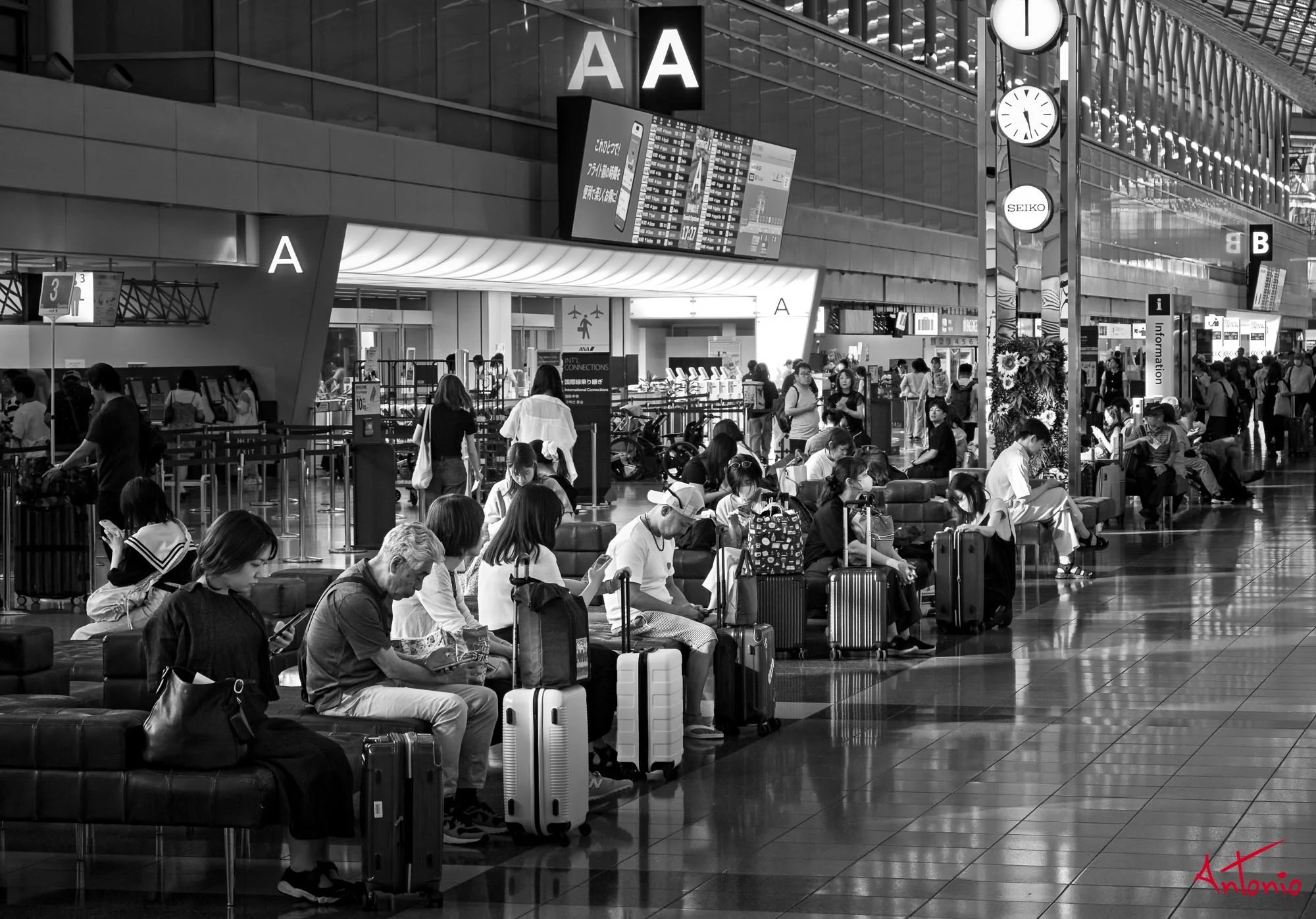 20250714_172753 Tokyo, Japan.jpg