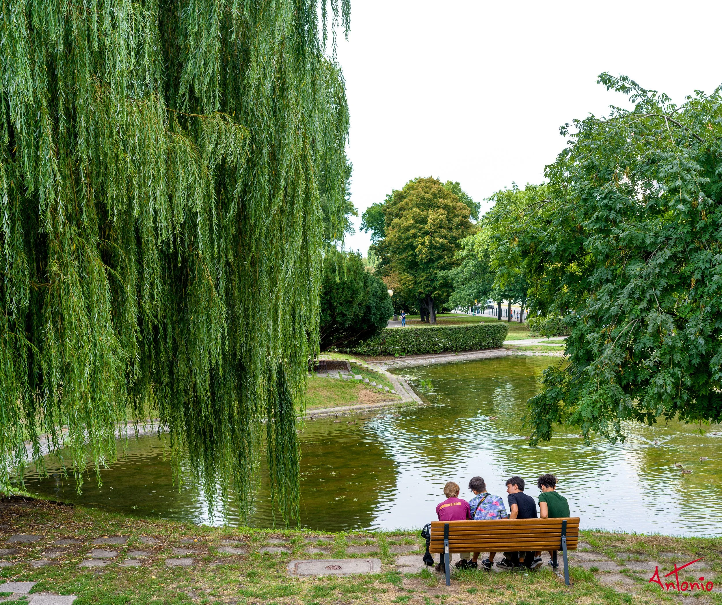 20240823_165604 B0006586 Varsovia, Polonia.jpg