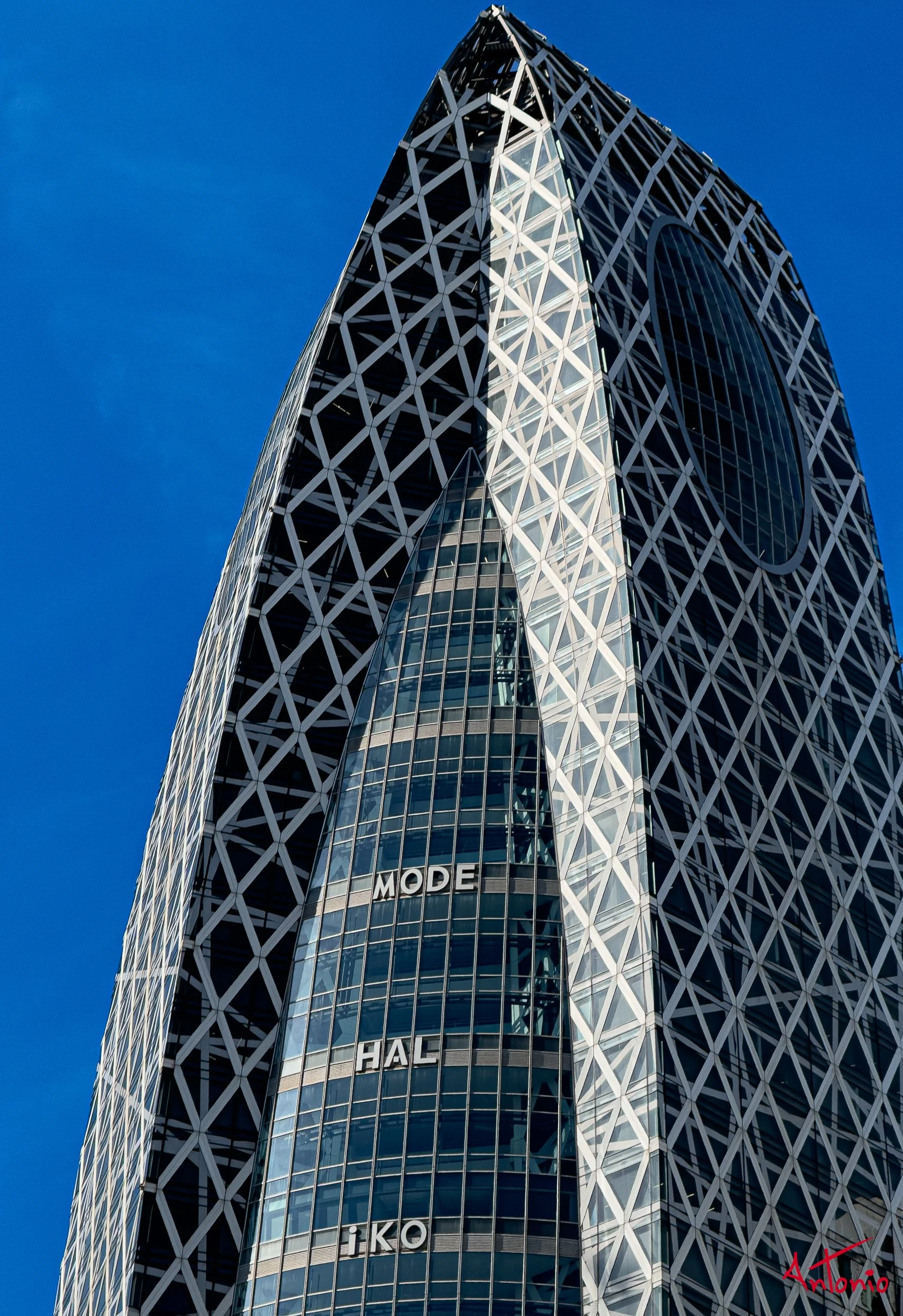 20260210_102426 Tokio, Japón.jpg