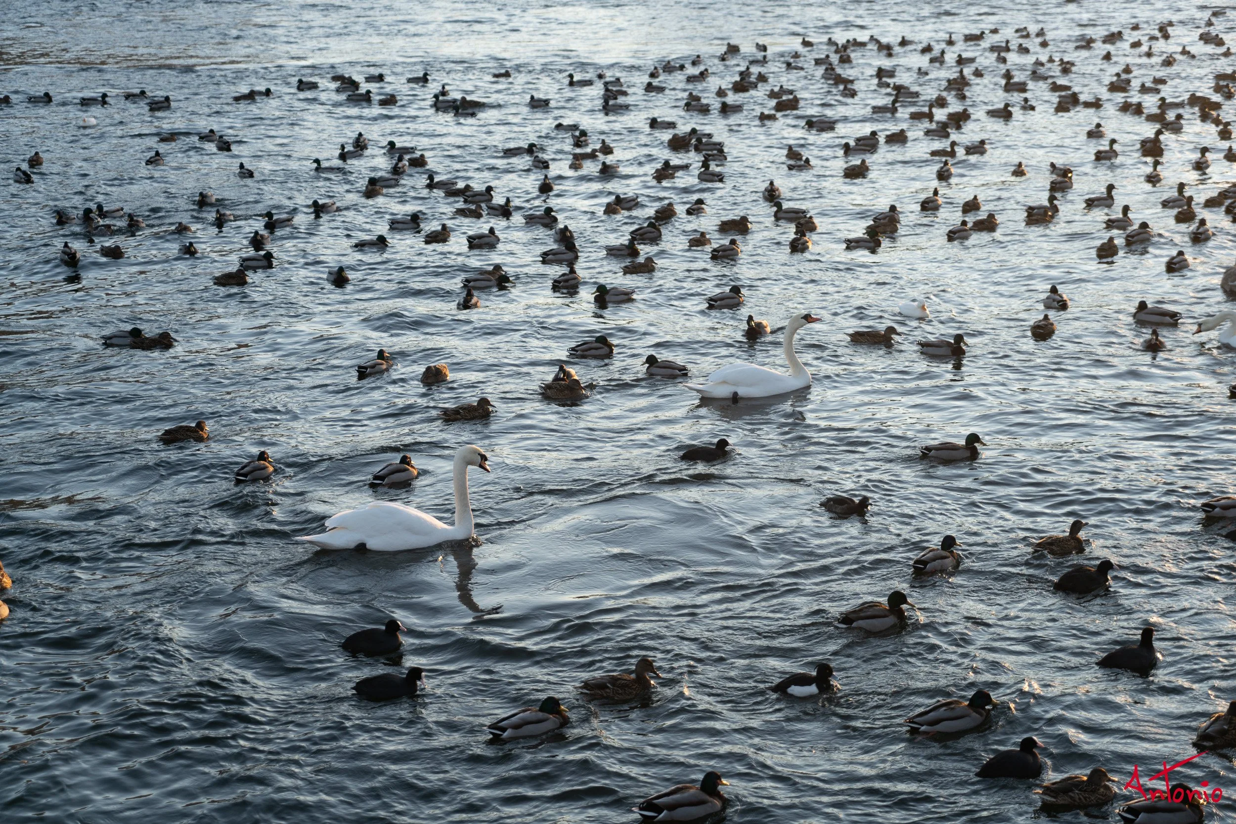 20160224_152303 Estocolmo.jpg