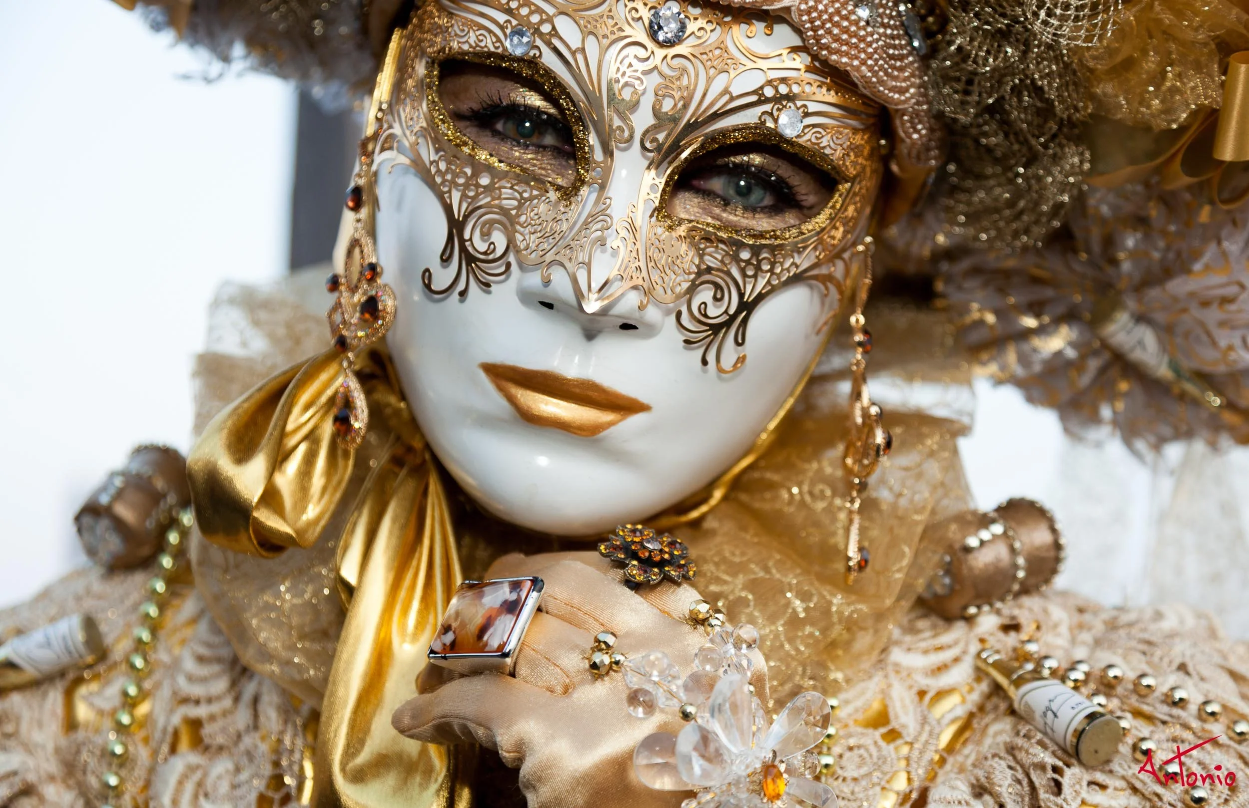 20120218_173203 Carnaval de venecia.jpg
