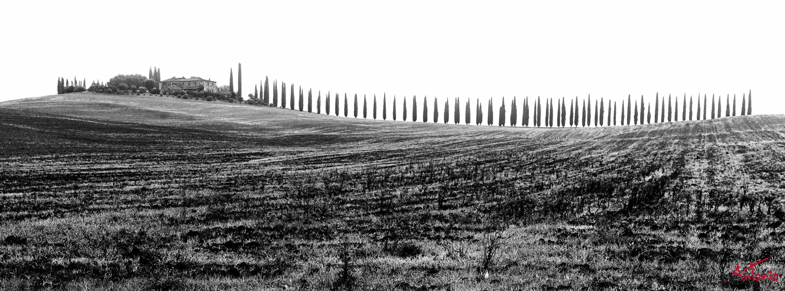 20231006_100102 B0000904 Toscana, Italia.jpg