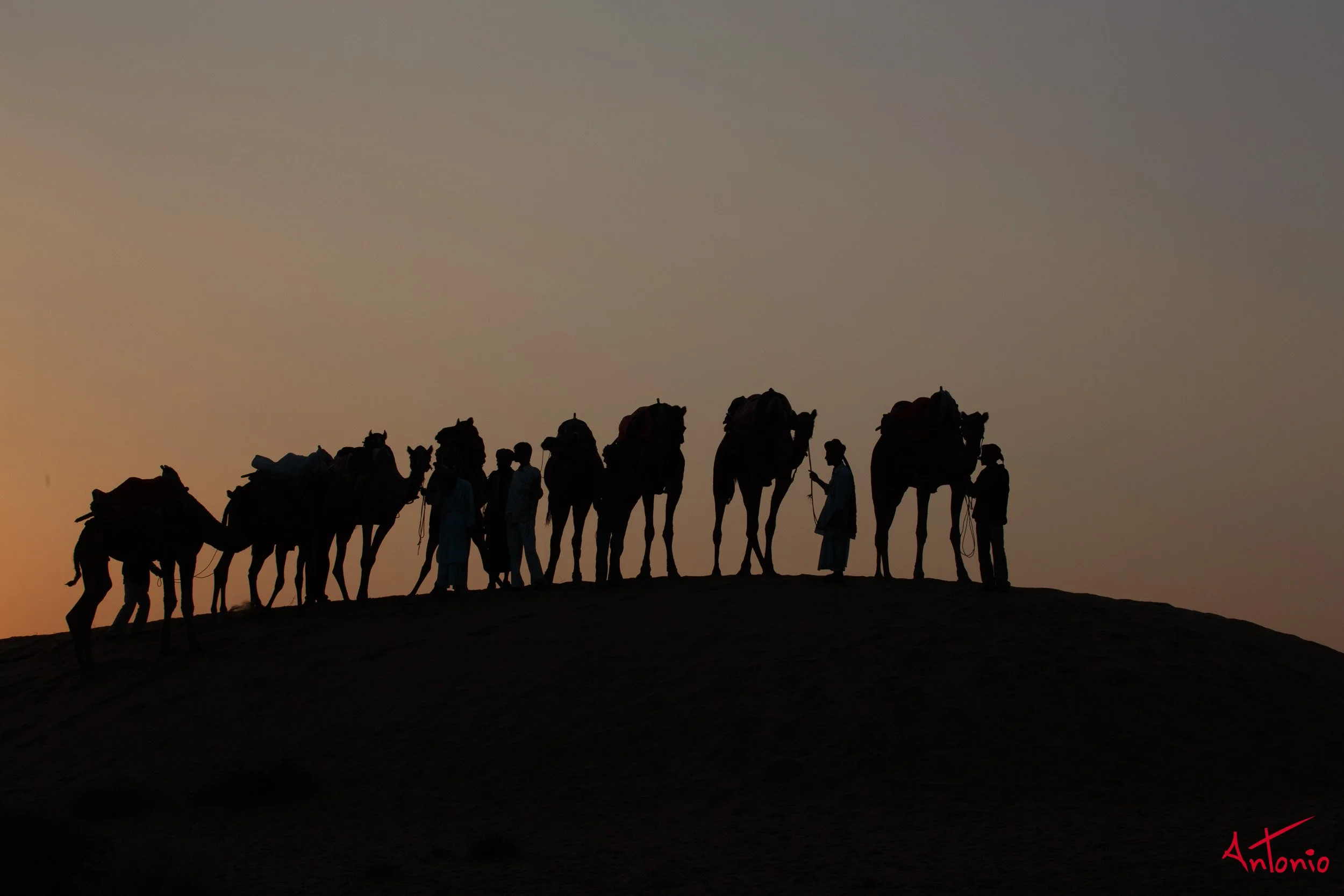 20121122_172701 India_Jamba.jpg