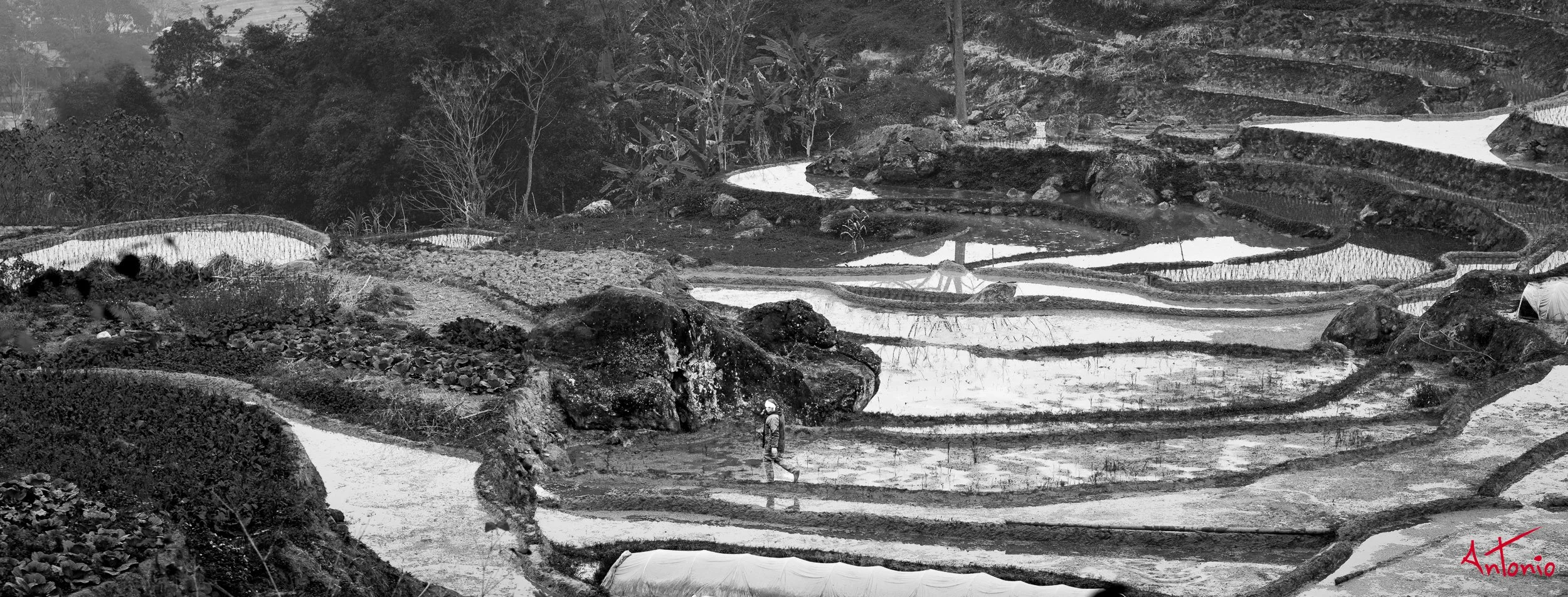 20260202_153728 B0012817 Pu Luong, Vietnam.jpg