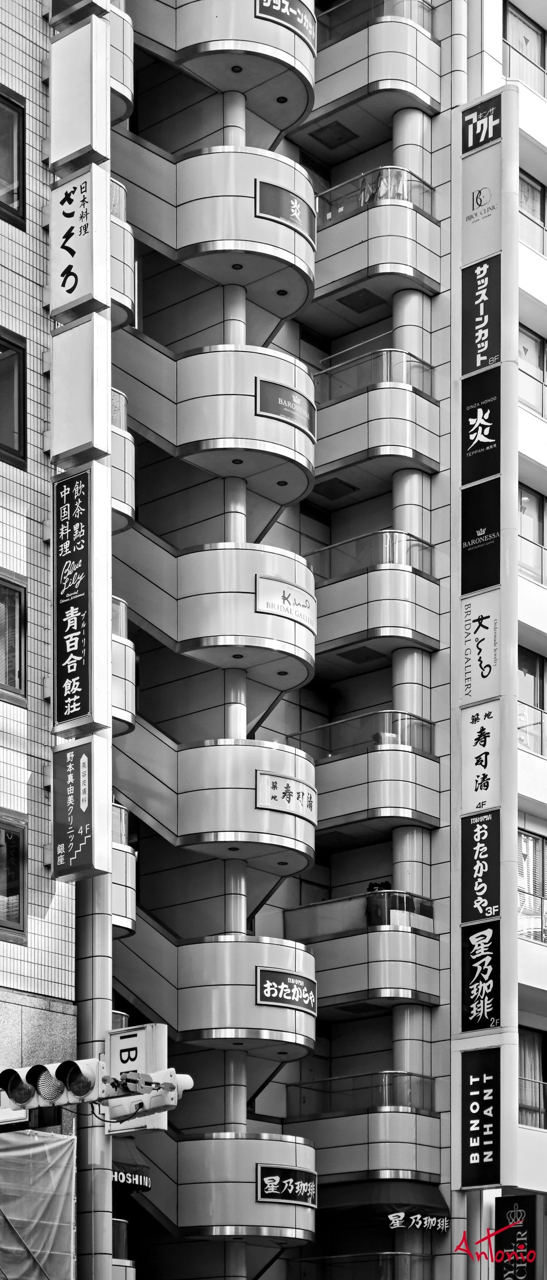 20260124_094221 Tokio, Japón.jpg