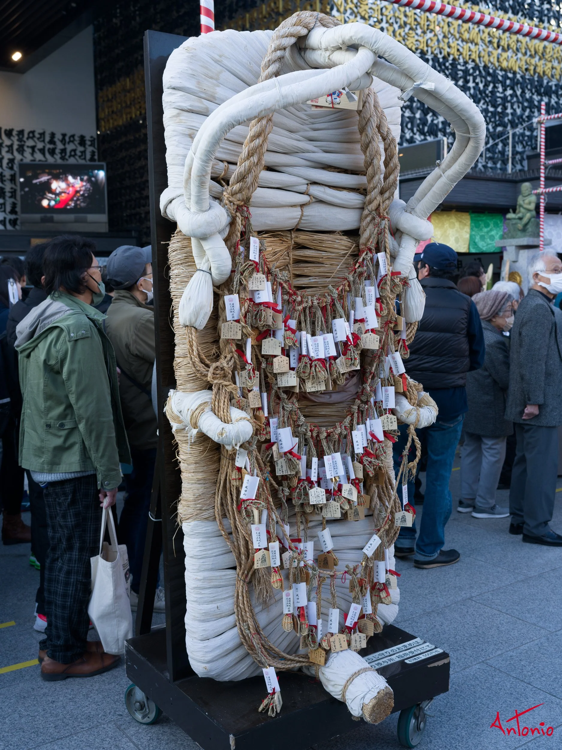 20240123_165039 B0002676 Tokyo.jpg