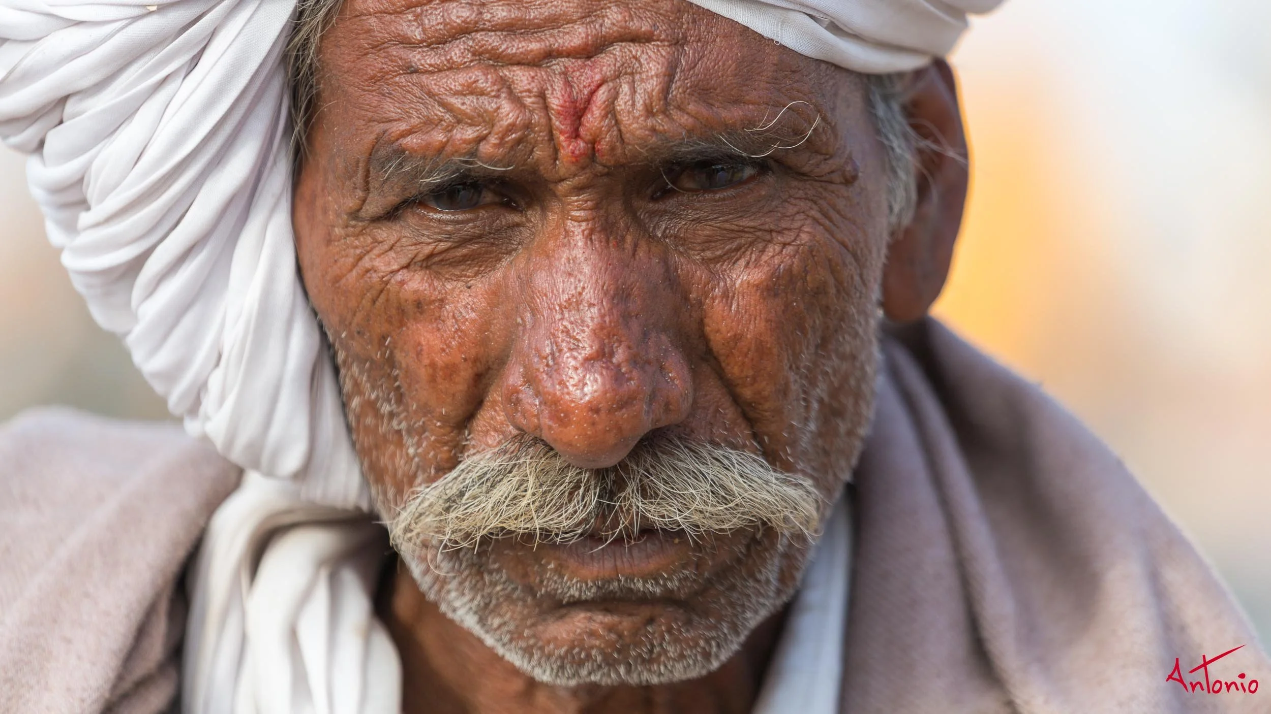 20121124_153924 Pushkar.jpg