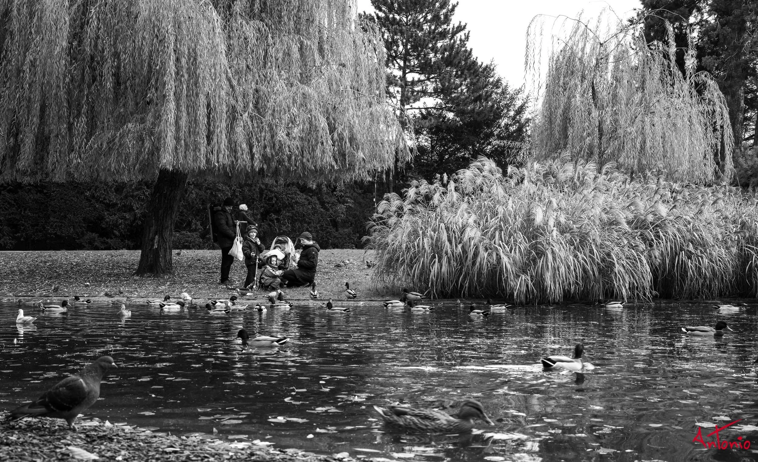 20221126_065438 B0000061 Viena.jpg