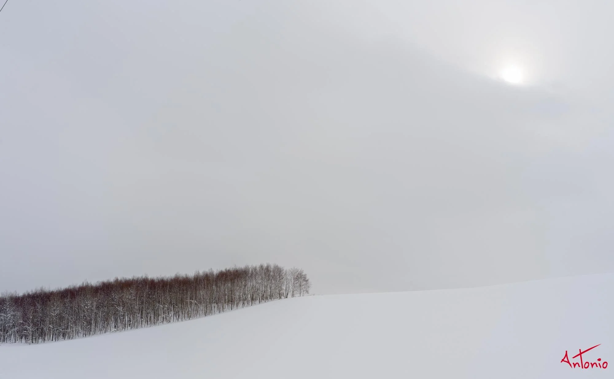 20240109_112929 B0003148 Hokaido.jpg