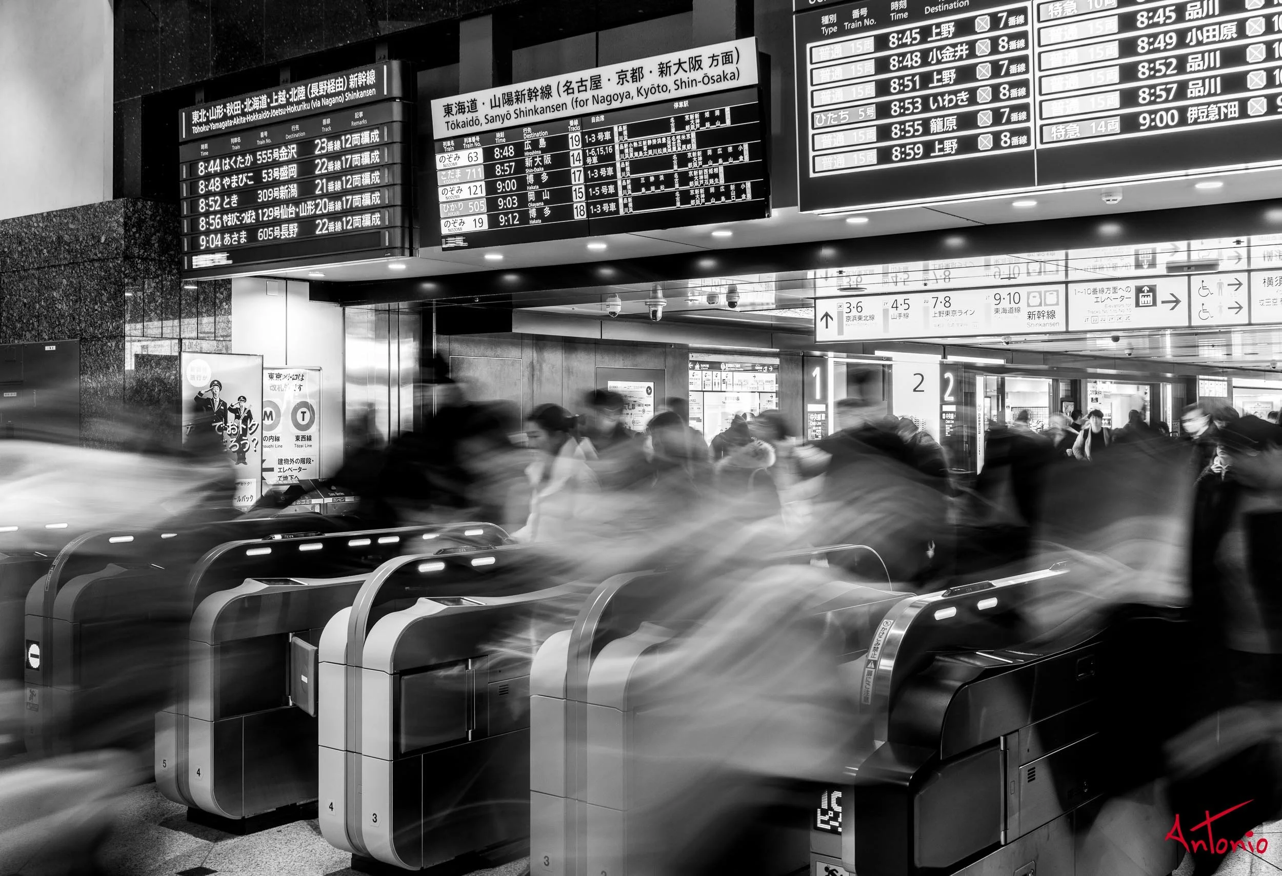 20240123_143853 B0001987 Tokyo.jpg