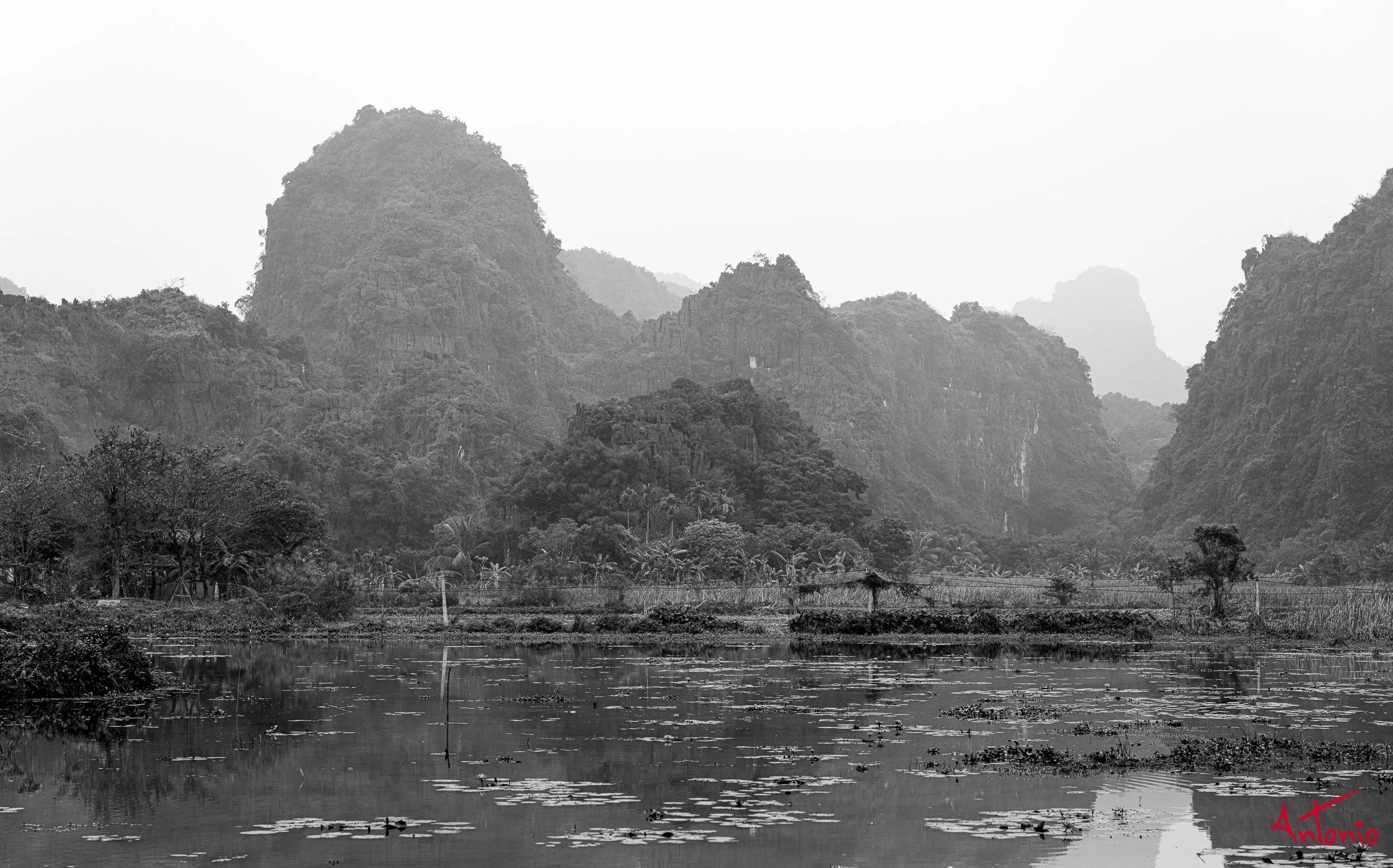20260205_081046 B0014629 Ninh Binh, Vietnam.jpg