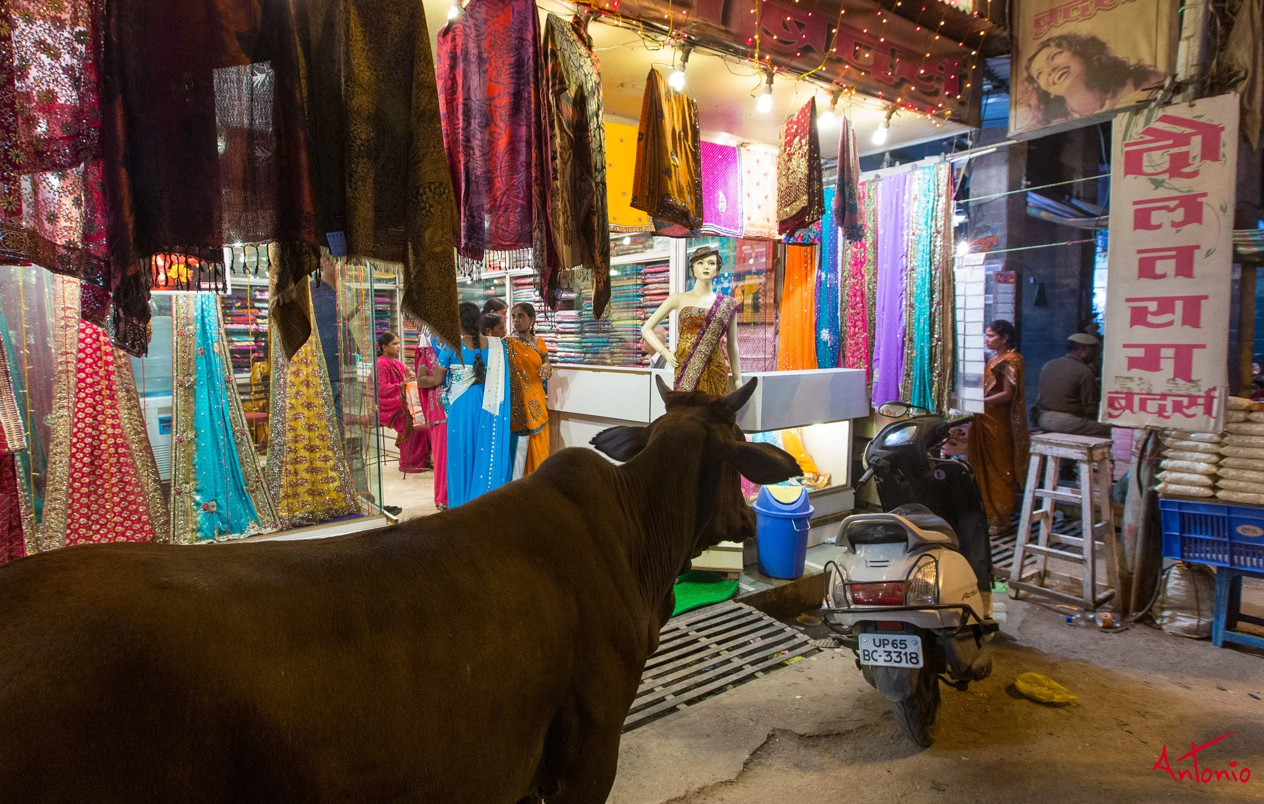 20121118_173035 Varanasi.jpg