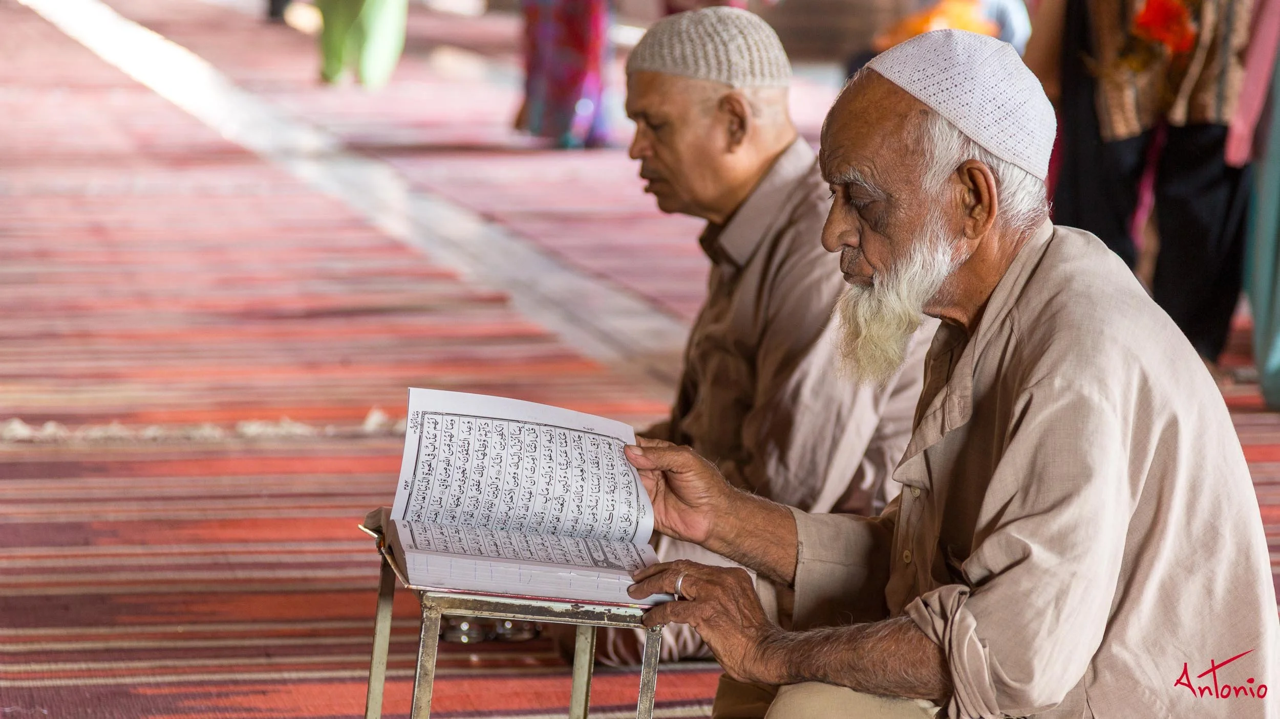 20121120_114539 Delhi.jpg