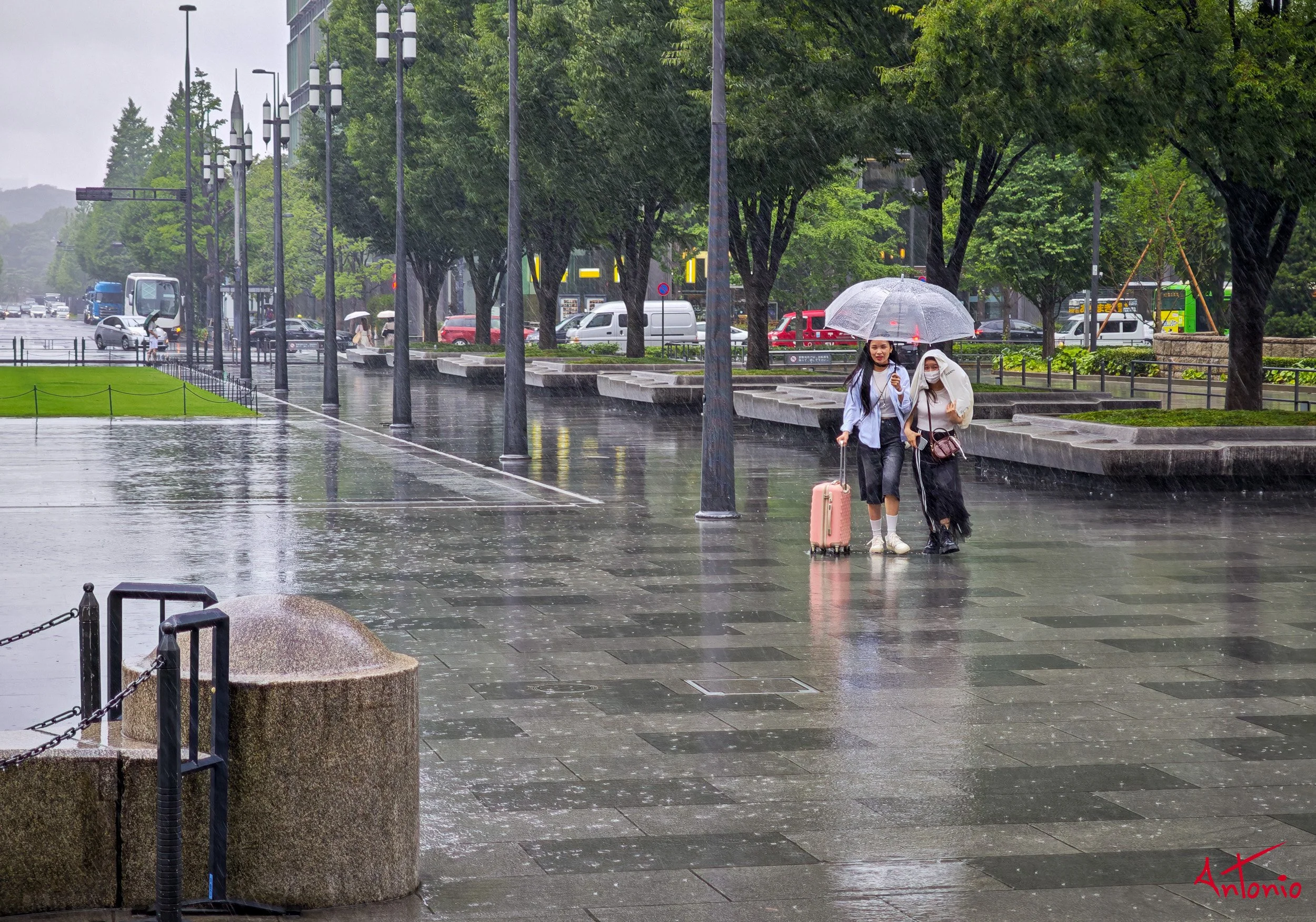 20250714_110841 Tokyo, Japan.jpg