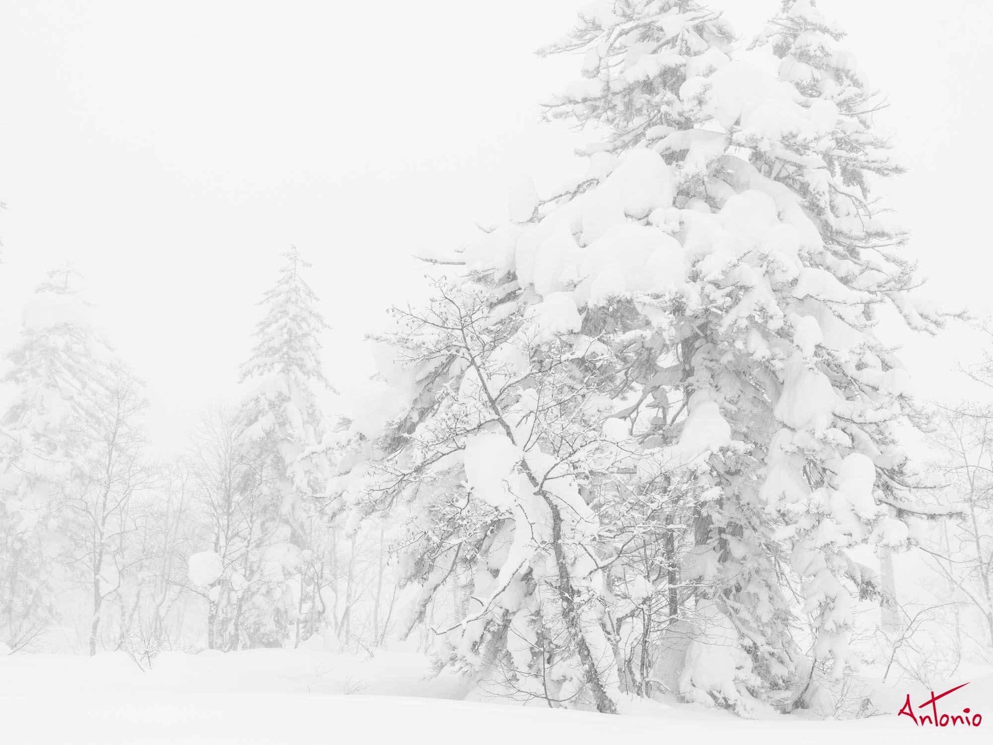 20240110_122154 B0003351 Hokaido.jpg