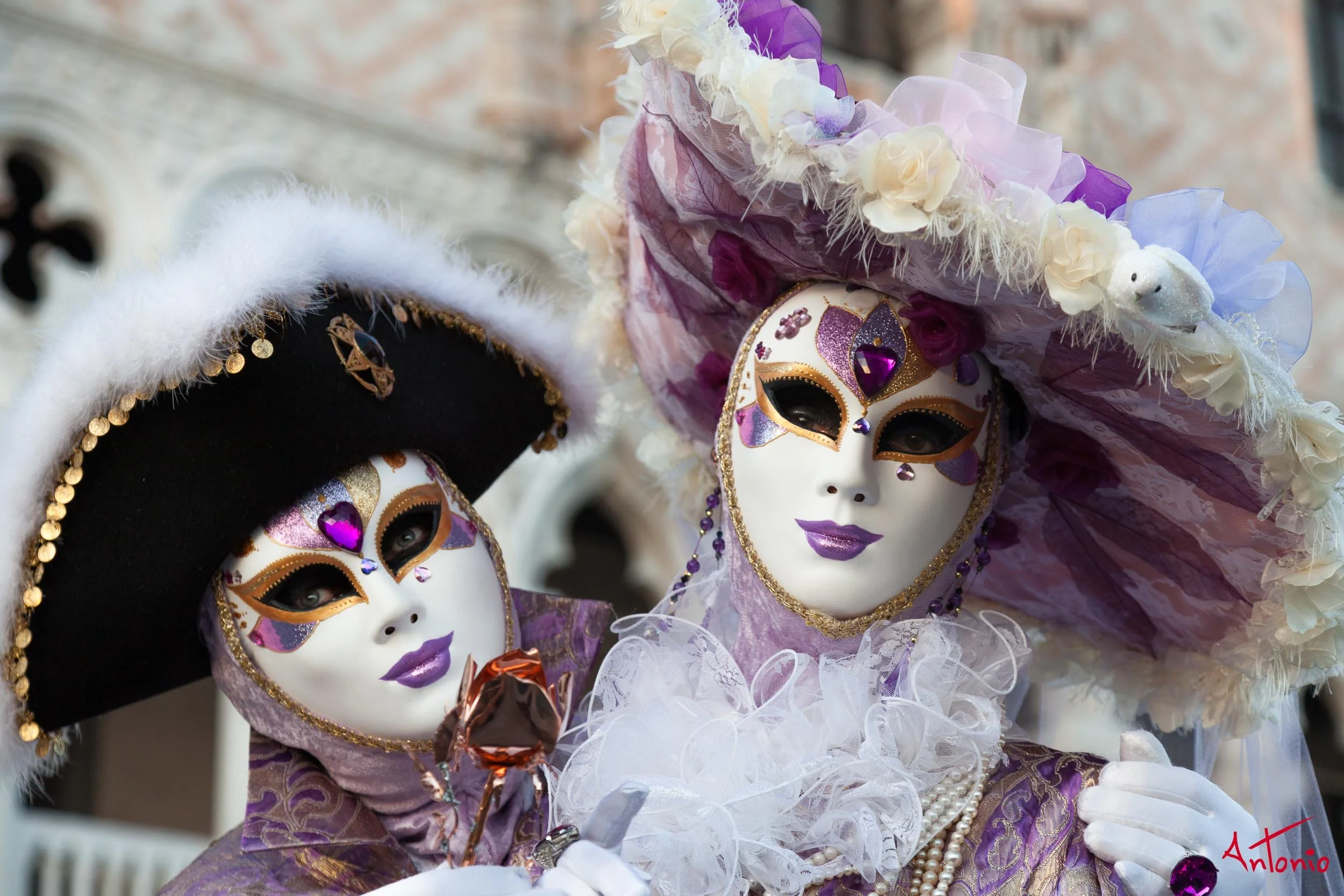 20120217_171445 Carnaval de venecia.jpg