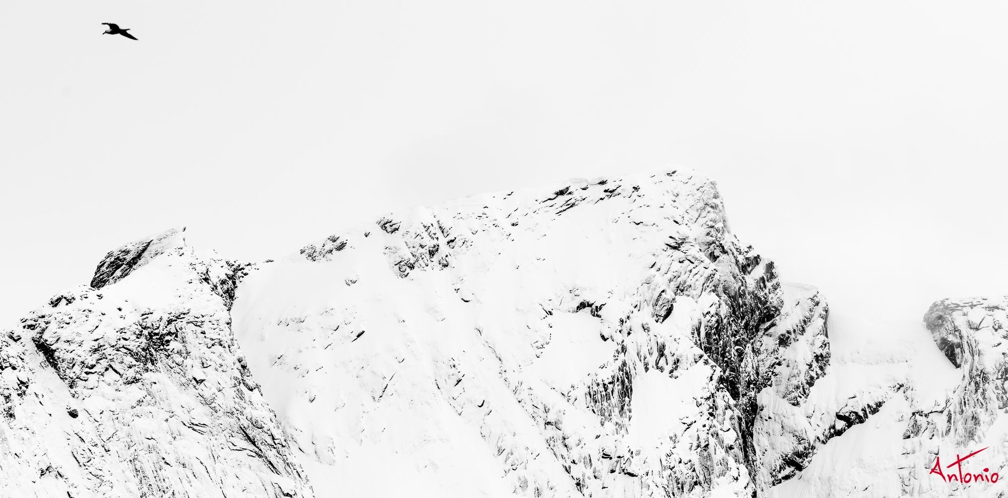 20160220_121119 Lofoten.jpg