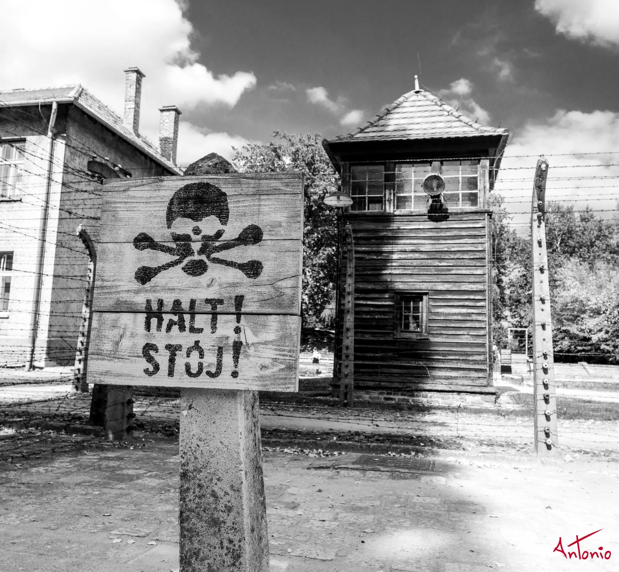 20240820_145752 B0006236 Auschwitz-Brinkenau, Polonia.jpg