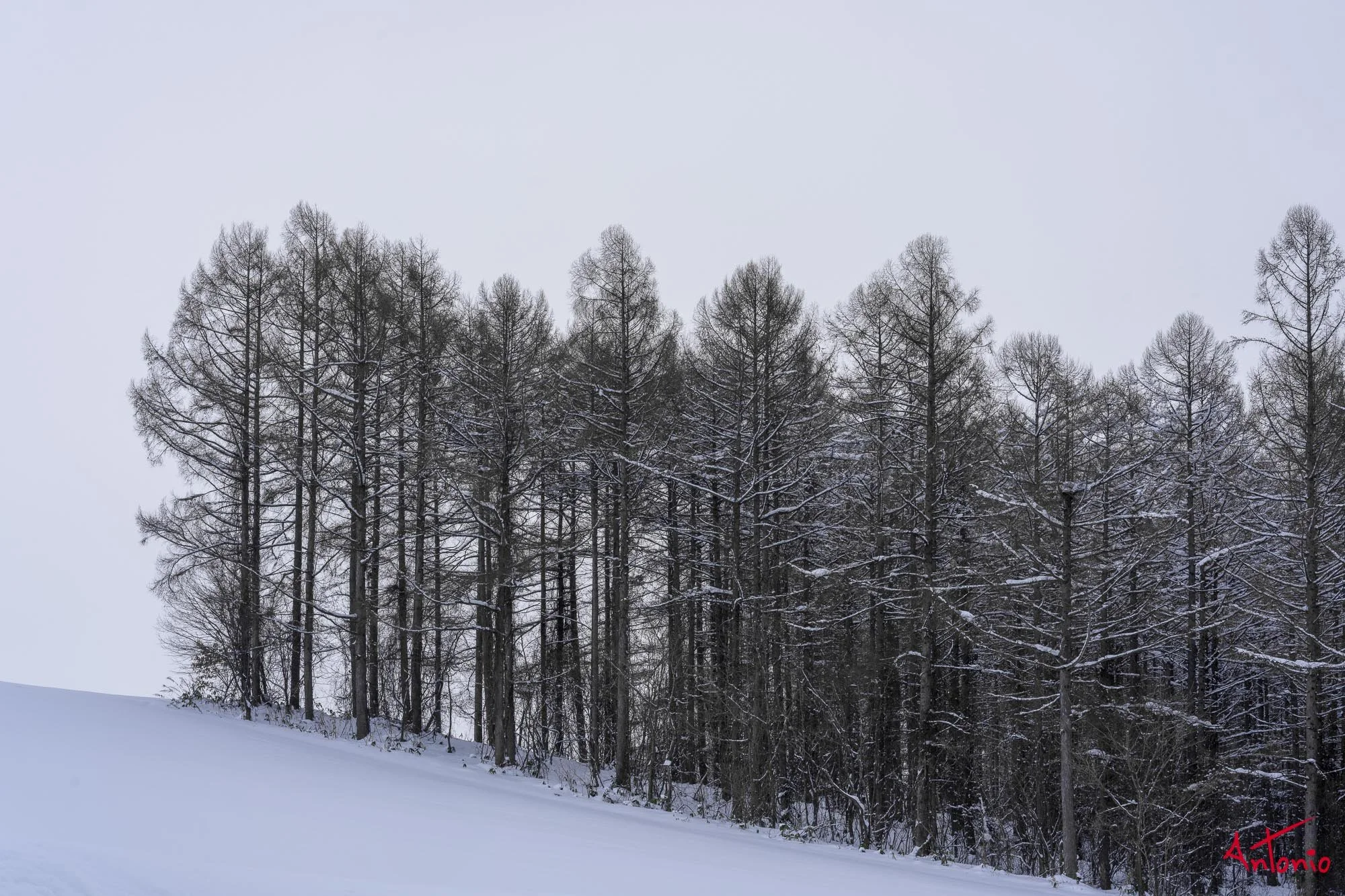 20240108_134249 B0002949 Hokaido.jpg