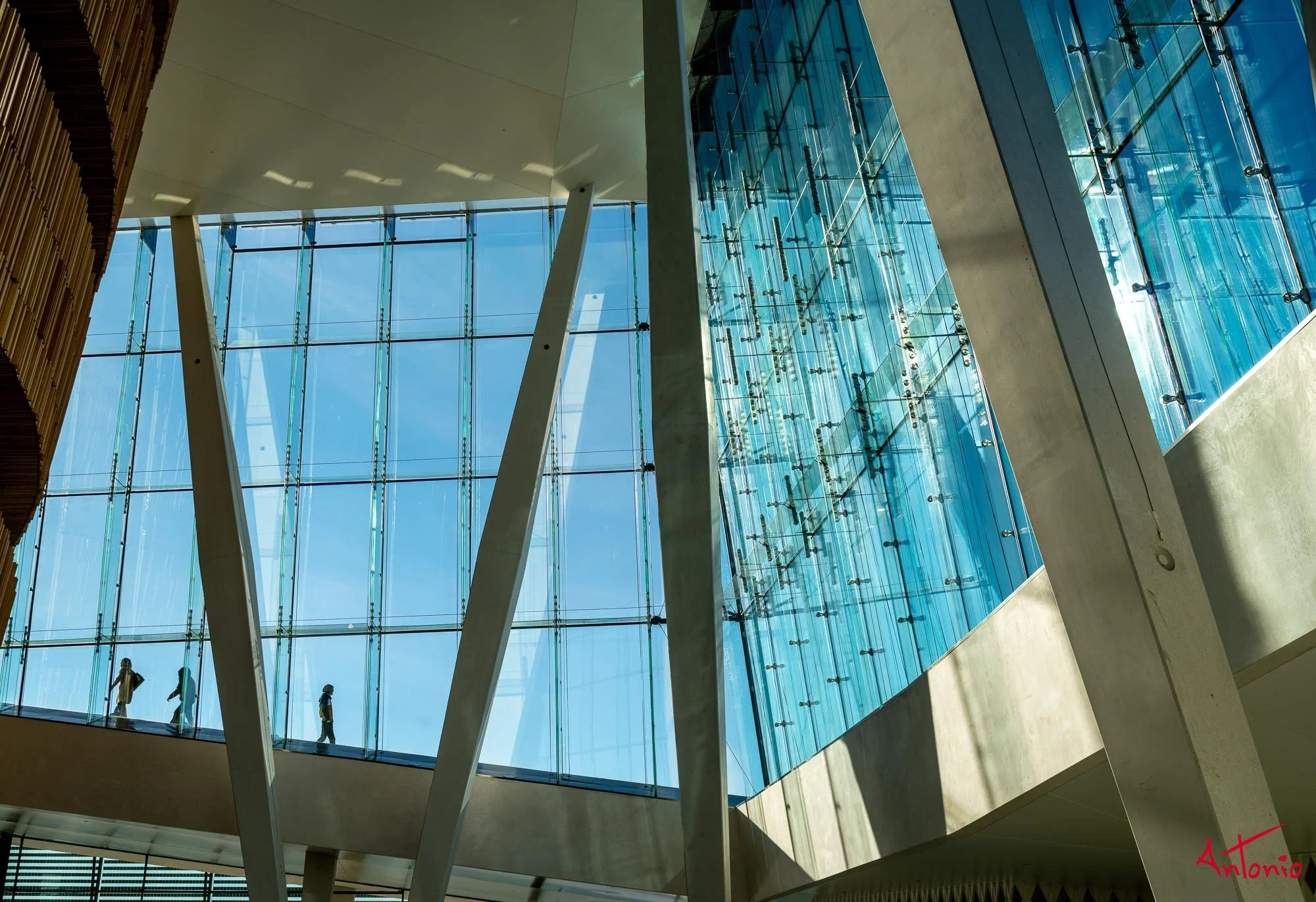 20160223_102859 Oslo.jpg