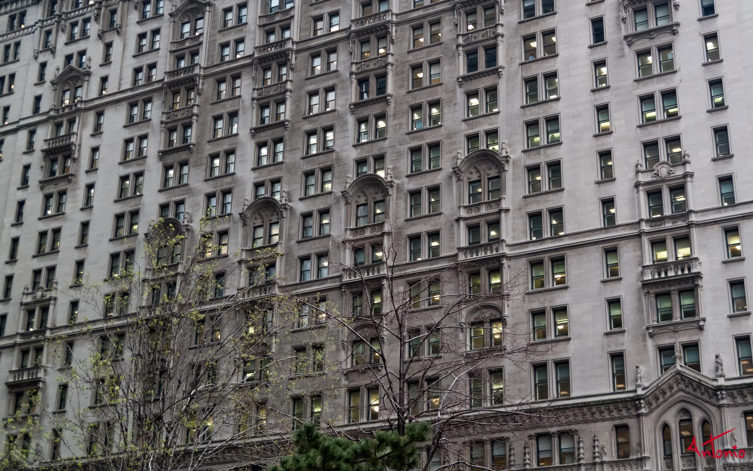 20080406_150444 New York.jpg