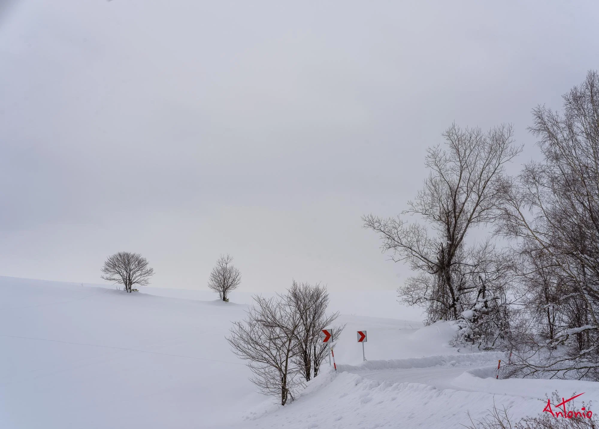 20240109_113508 B0003156 Hokaido.jpg