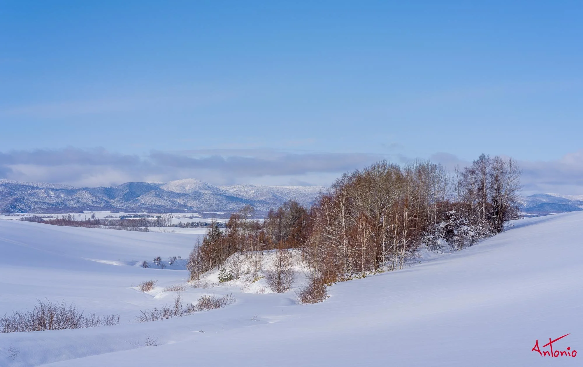 20240108_103246 B0002794 Hokaido.jpg