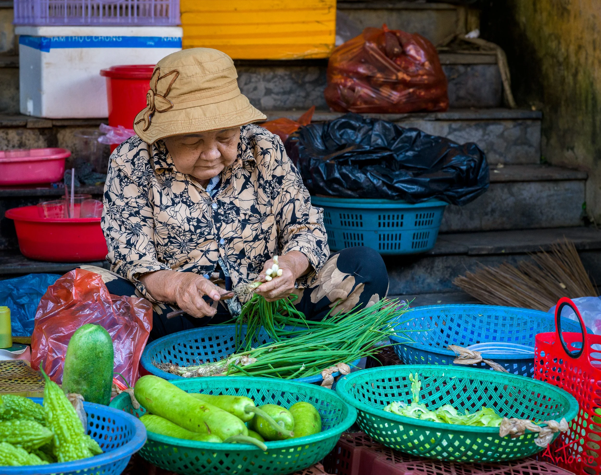 20260128_090034 B0009658 Hoi An, Vietnam.jpg