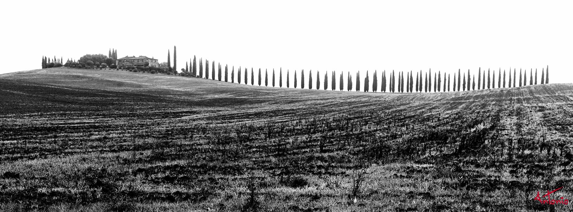 20231006_100101 B0000904 Toscana.jpg