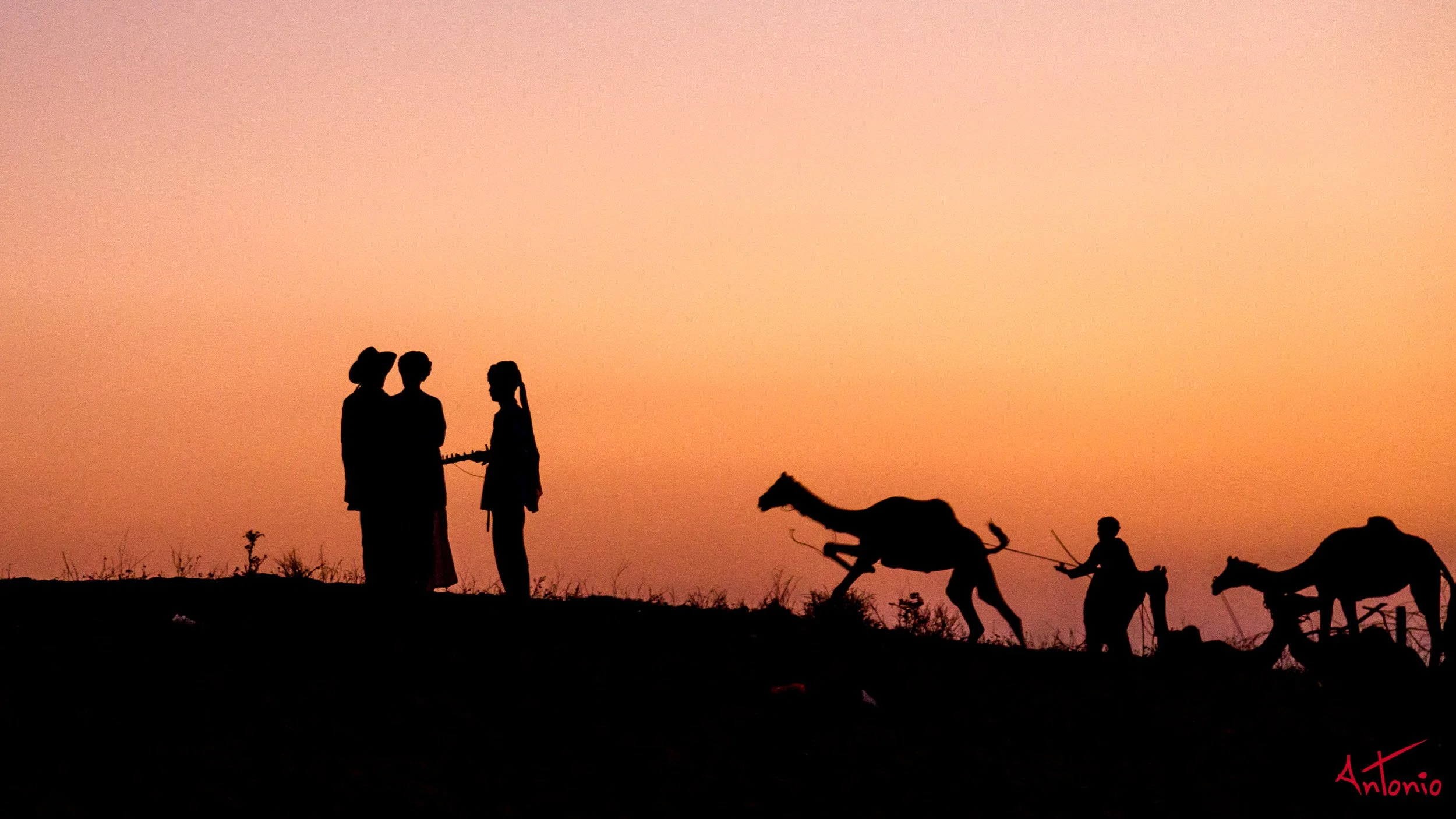 20121123_180149 Pushkar.jpg