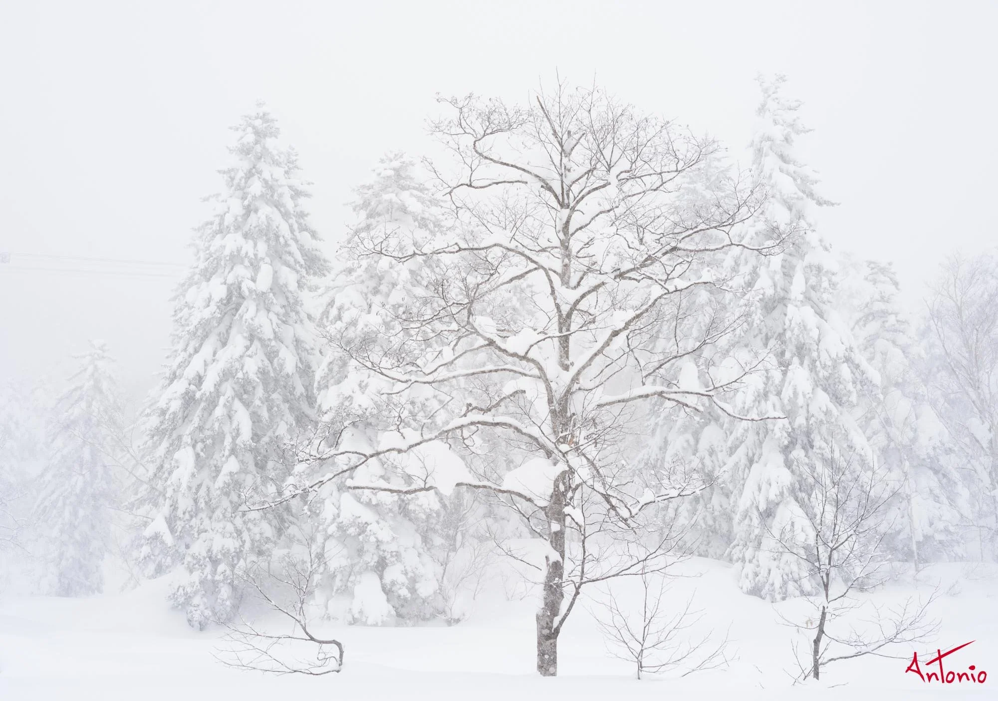 20240110_121204 B0003331 Hokaido.jpg