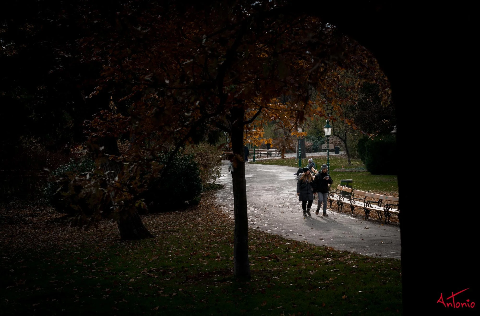 20221126_070638 B0000070 Viena.jpg